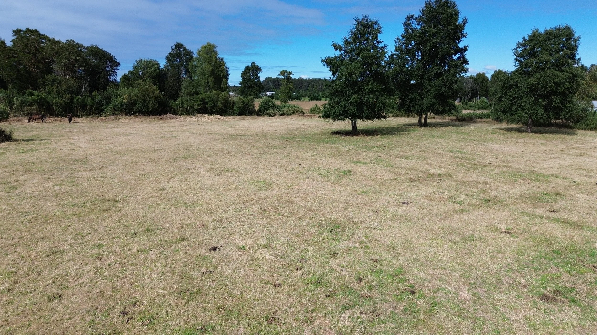 DJI_0041.JPG