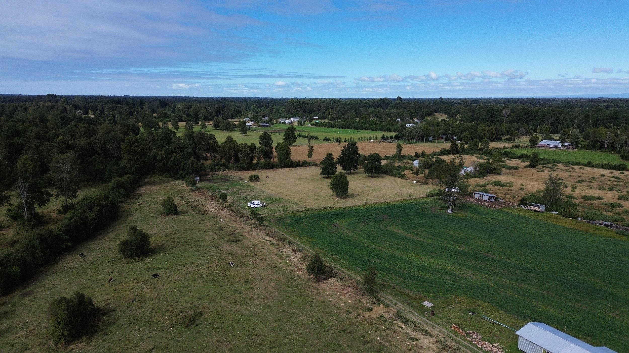 DJI_0050.JPG