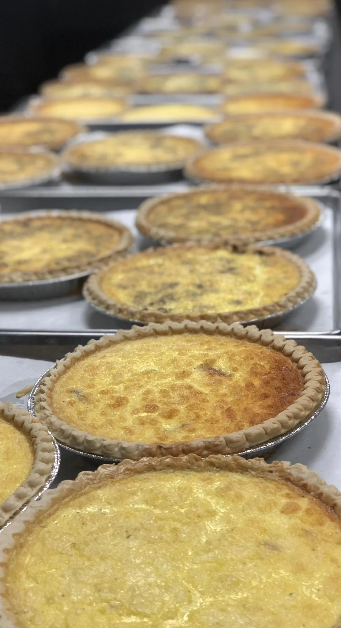 Bacon & Swiss  Quiche