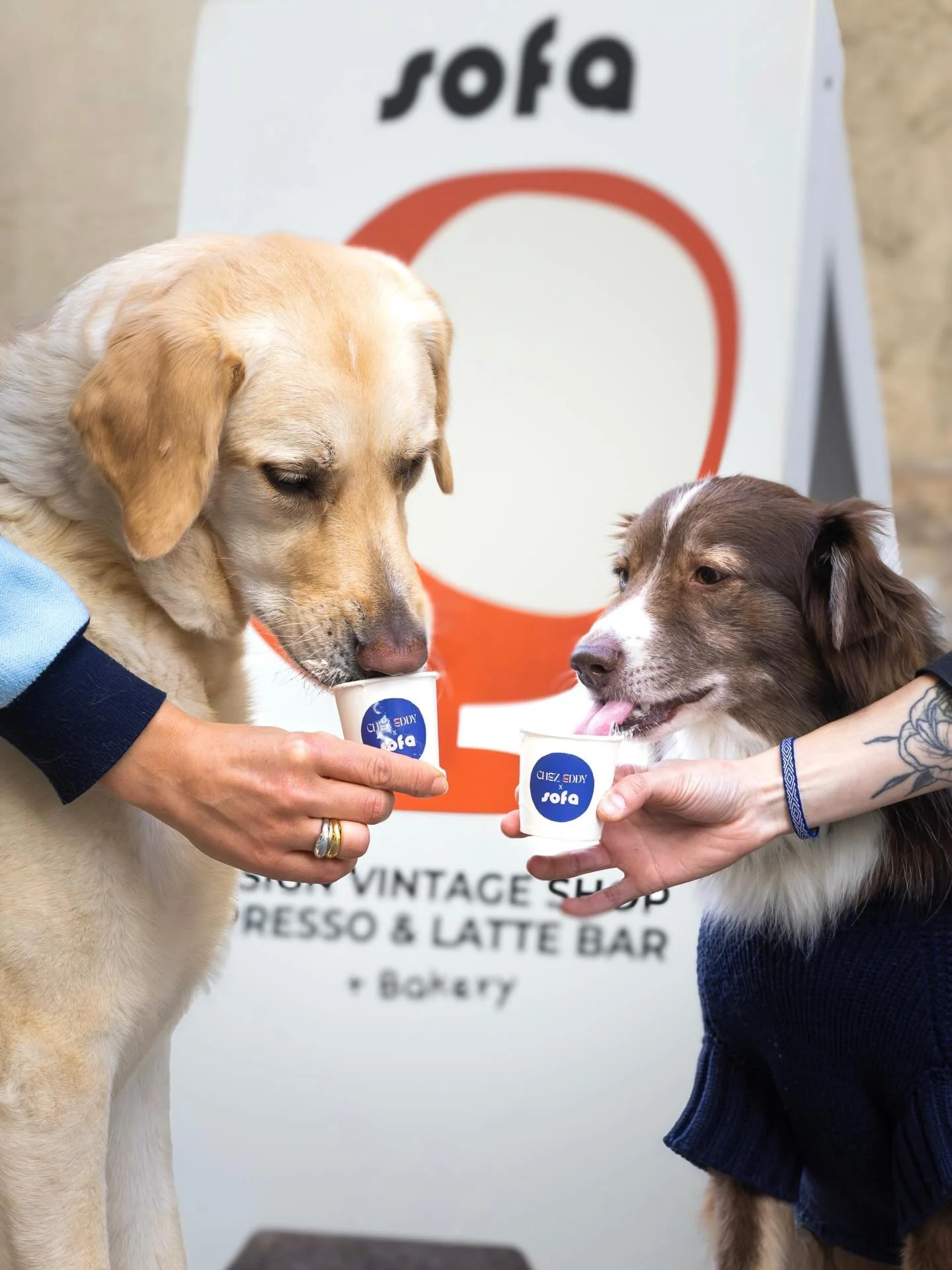 🚨 ALERTE DOGGO 🚨 
Chez Eddy x Sofa 

On l&rsquo;a fait! 
Quand nos deux univers se rencontrent, le DOGGOCCINO prend vie! 
Il d&eacute;barque officiellement dans nos deux boutiques ✨

Cr&egrave;me de coco + topping beurre de cacahu&egrave;te 💙

Aut