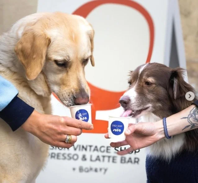 Deux chiens en train de boire dans de petites tasses, portée par deux mains humaines, devant un panneau indiquant une boutique vintage et un bar à latte.