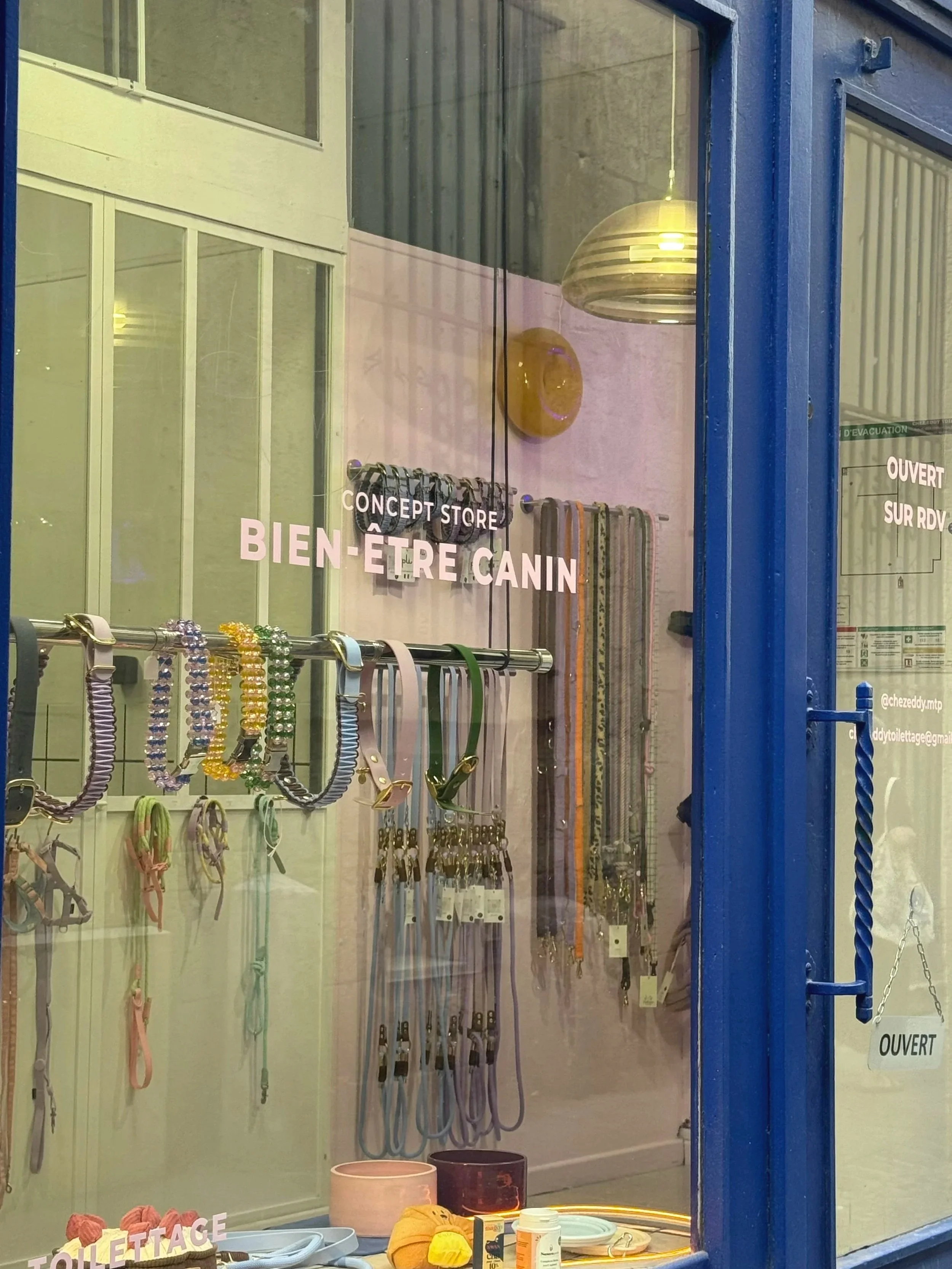 Vitrine d'une boutique d'accessoires pour animaux, avec des colliers, laisses et harnais suspendus, et des jouets pour chien sur la table.