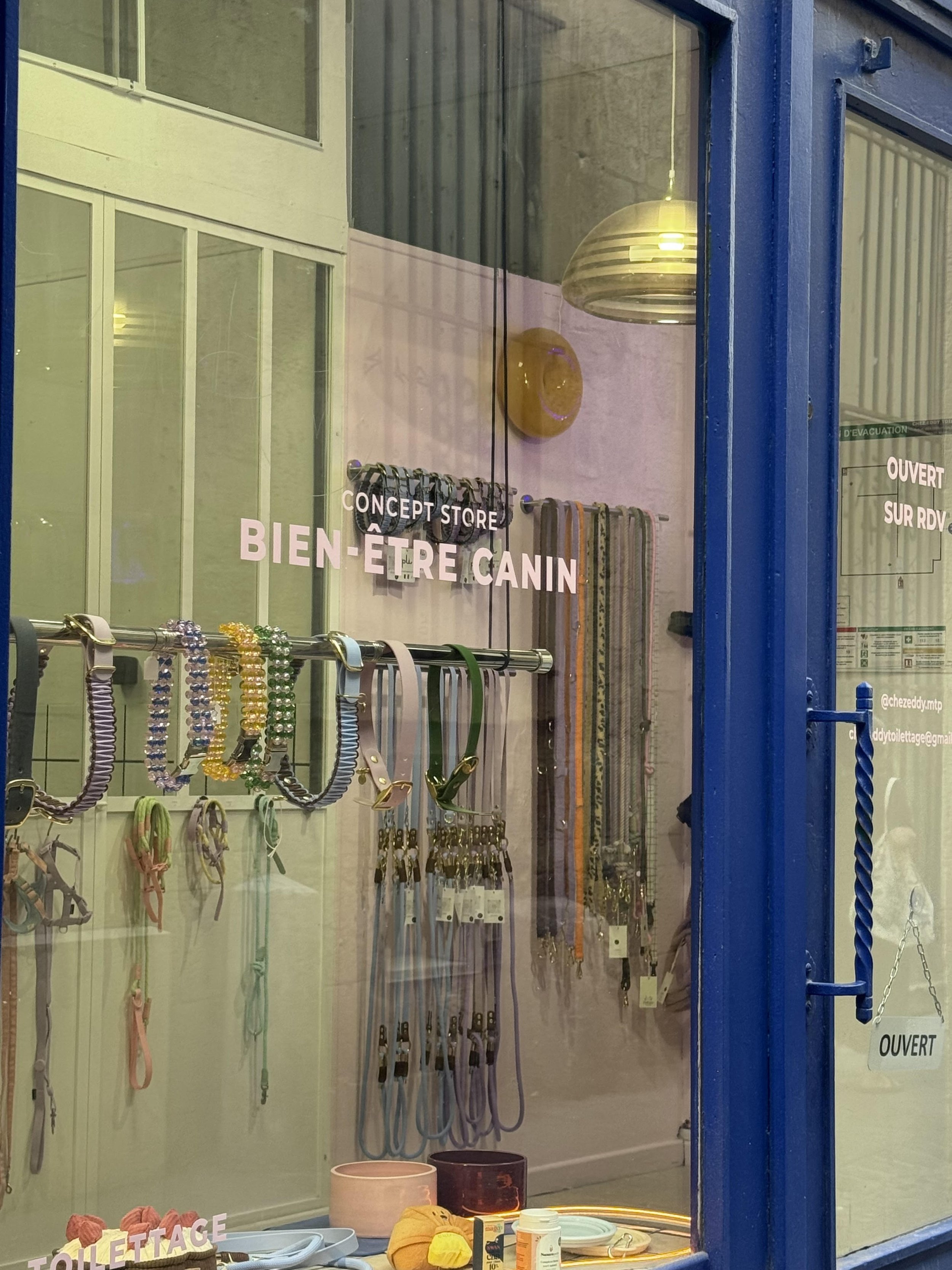 Vitrine d'une boutique avec des colliers, des laisses pour chiens, et des accessoires pour animaux. Signes indiquant que la boutique est ouverte.