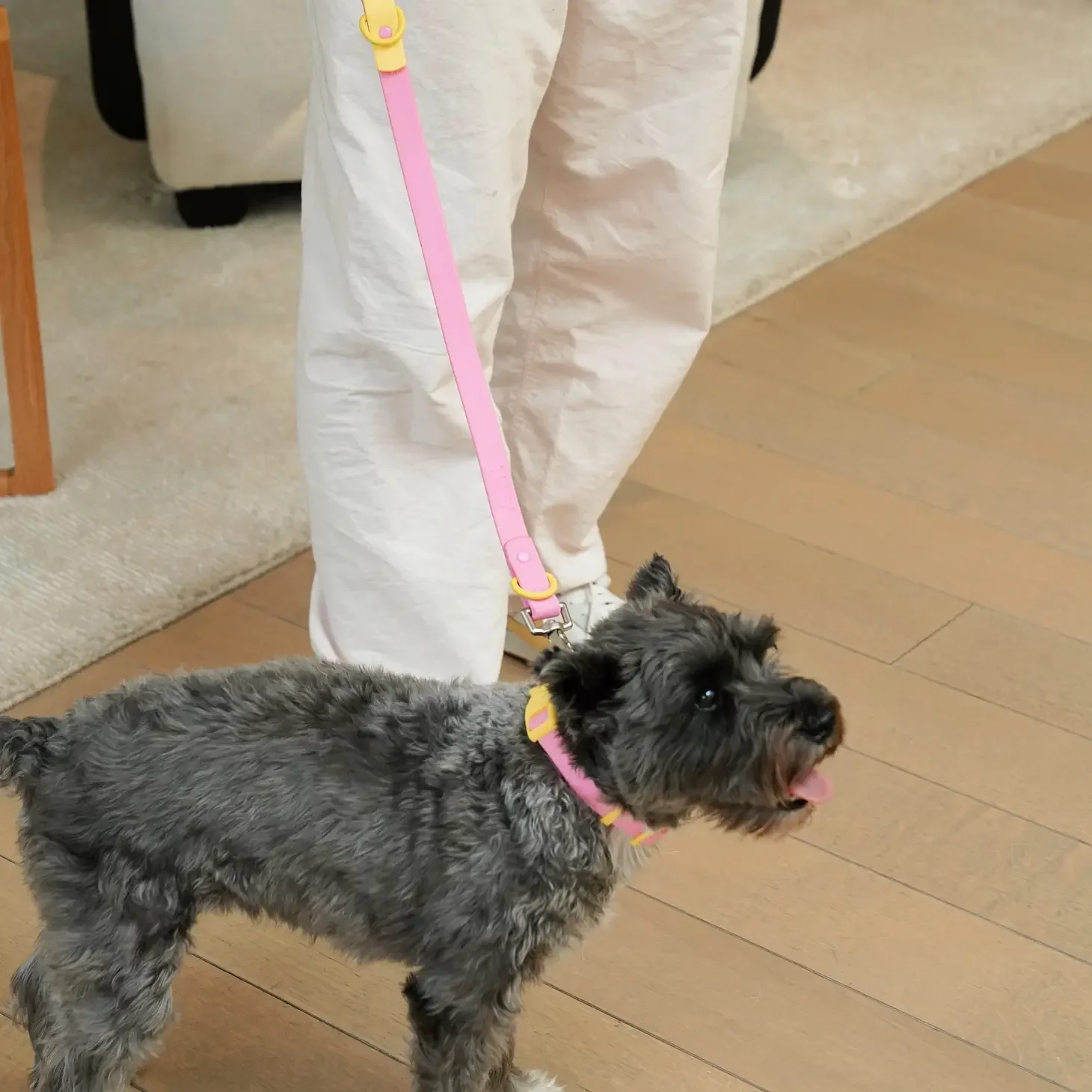 IMG_9580.WEBP