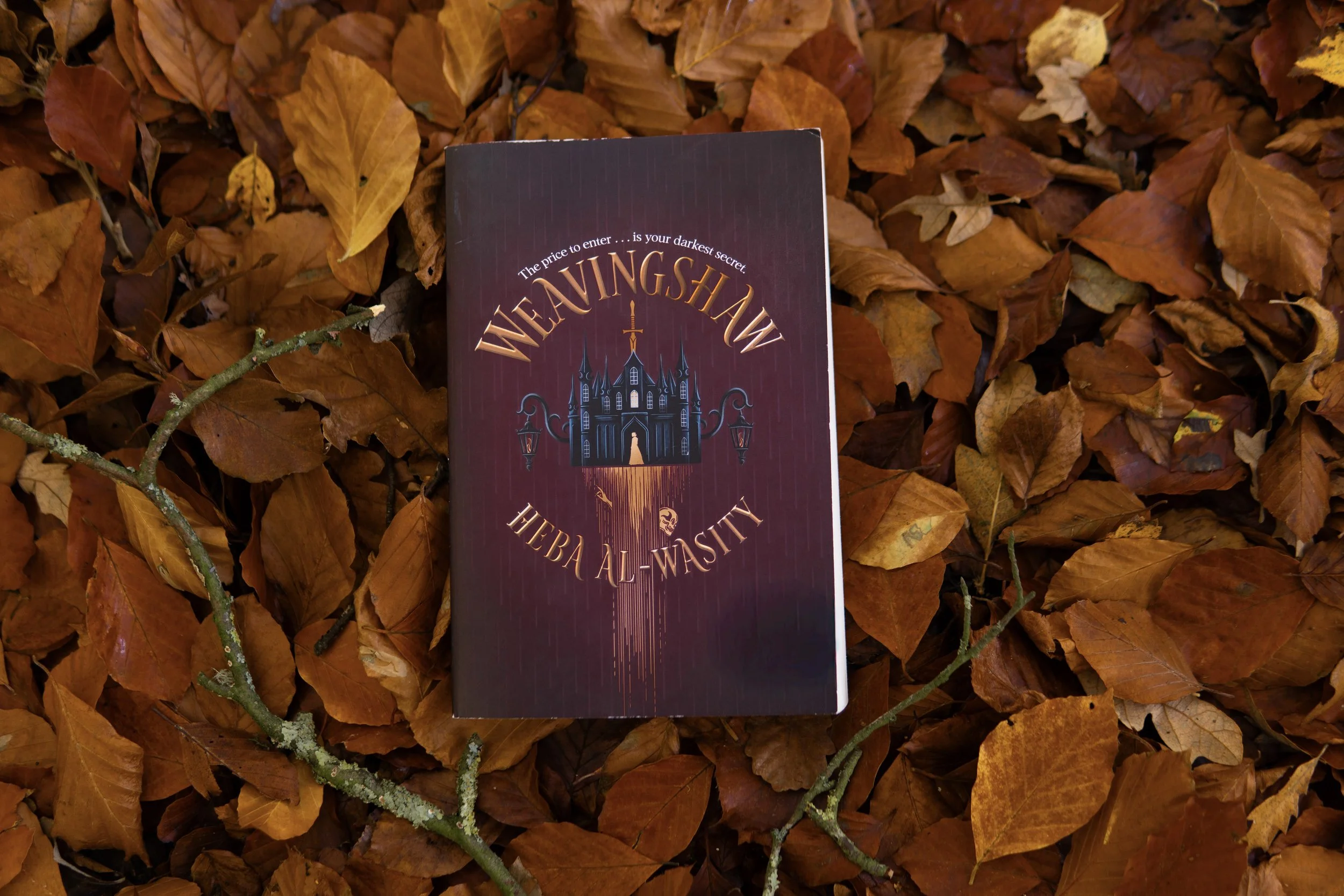 A book titled 'Waking Shadow' by Heba Al-Wasity lies on a bed of fallen autumn leaves, with the cover featuring a dark, gothic-style illustration of a castle and streetlamps.