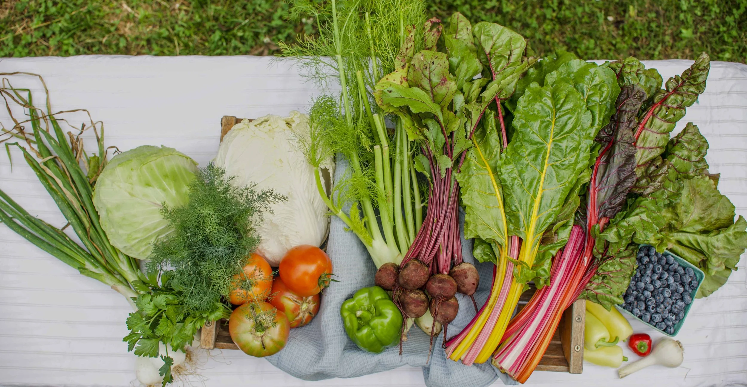 Large CSA Share - Weekly