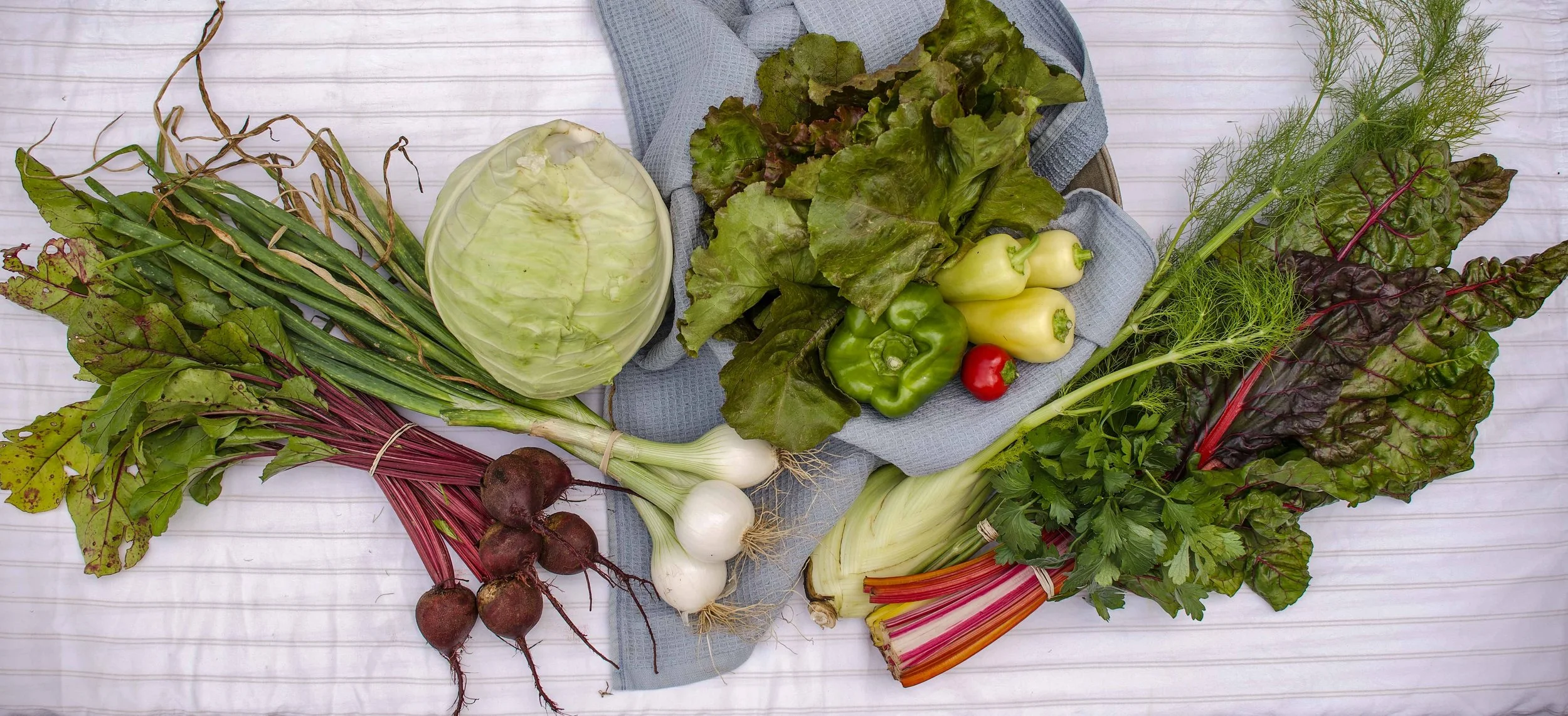Small CSA Share - Weekly