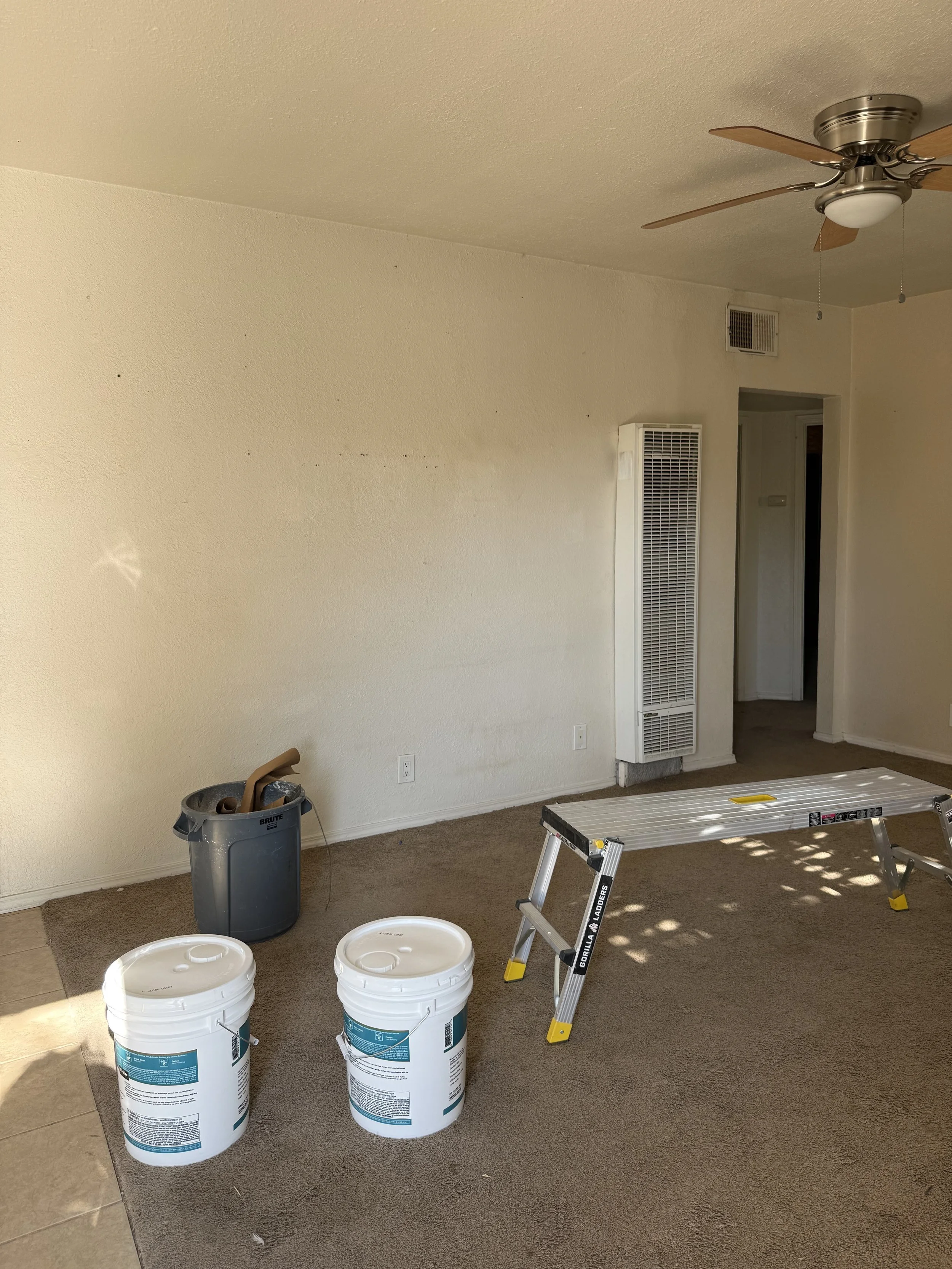 IMG_0173.jpeg