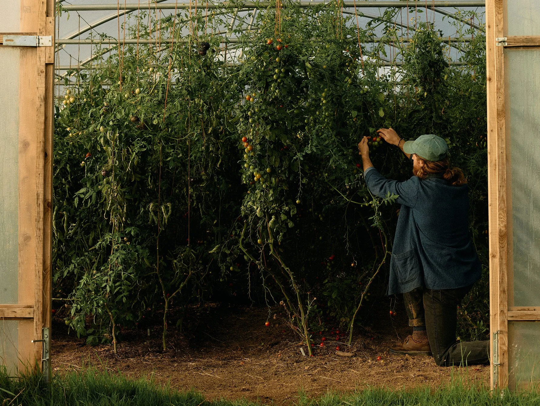 What is agroecology?