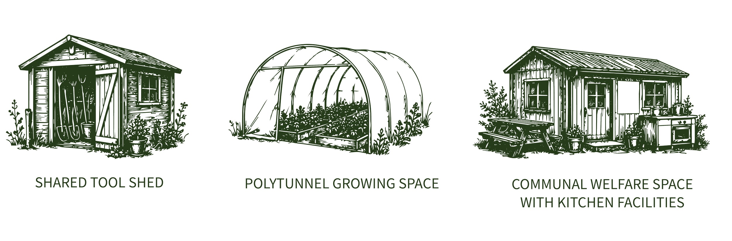 Diagram of three structures: a shared tool shed on the left, a polytunnel growing space in the middle, and a communal welfare space with kitchen facilities on the right, with plants and gardening tools around.