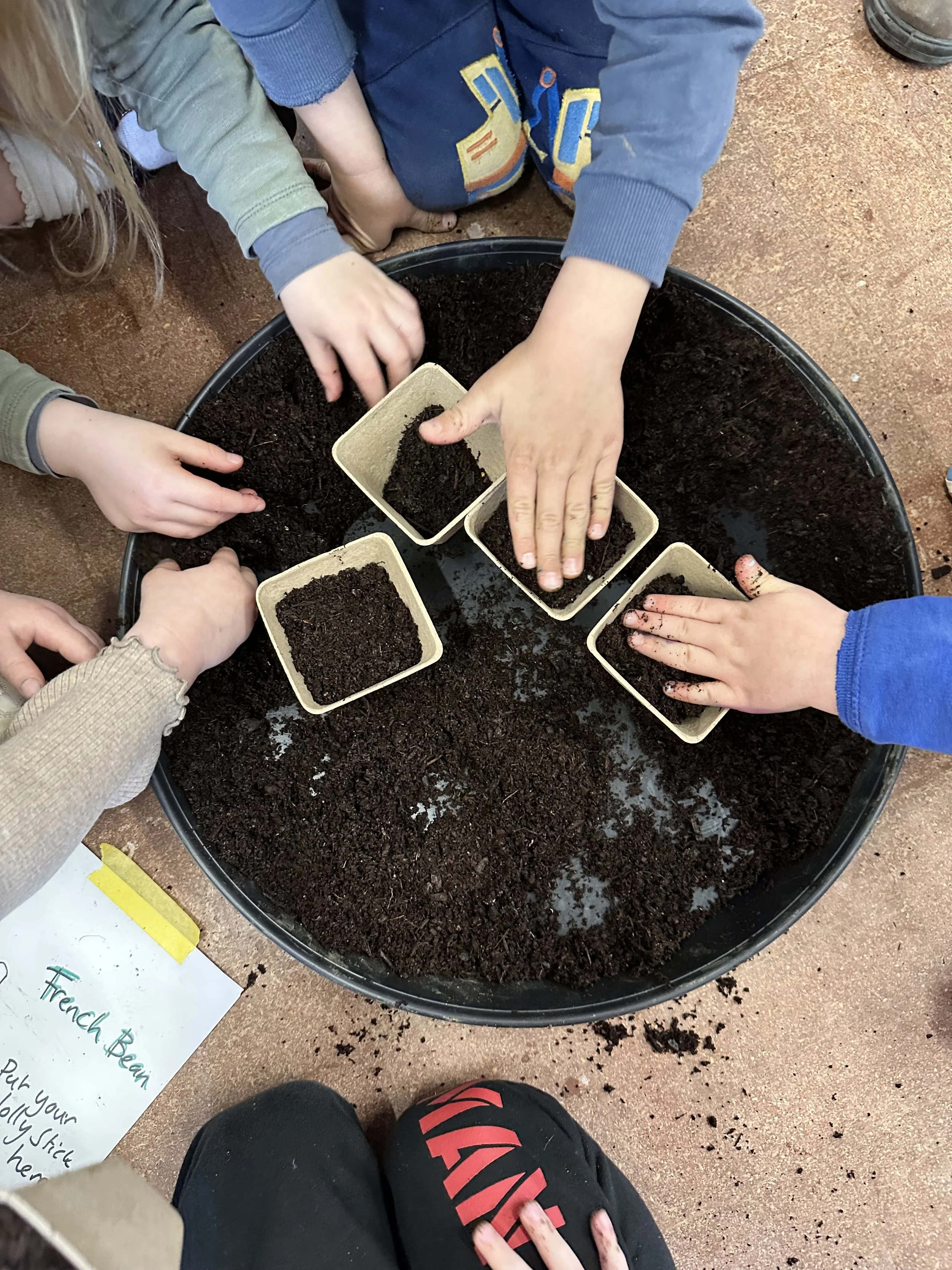 1000 seeds project