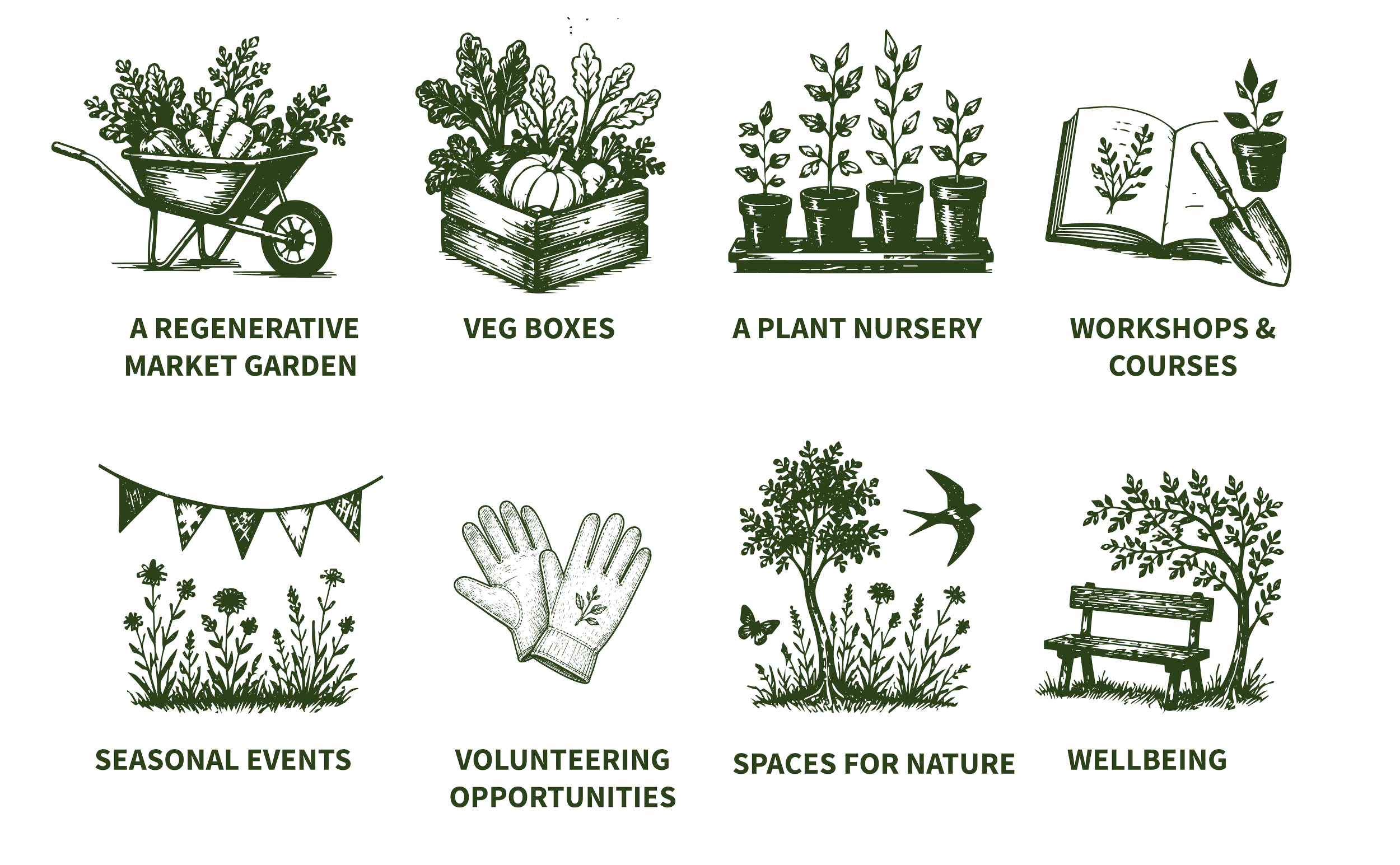 Illustration showing a regenerative market garden, veg boxes, a plant nursery, workshops and courses, seasonal events, volunteering opportunities, spaces for nature, and well-being.