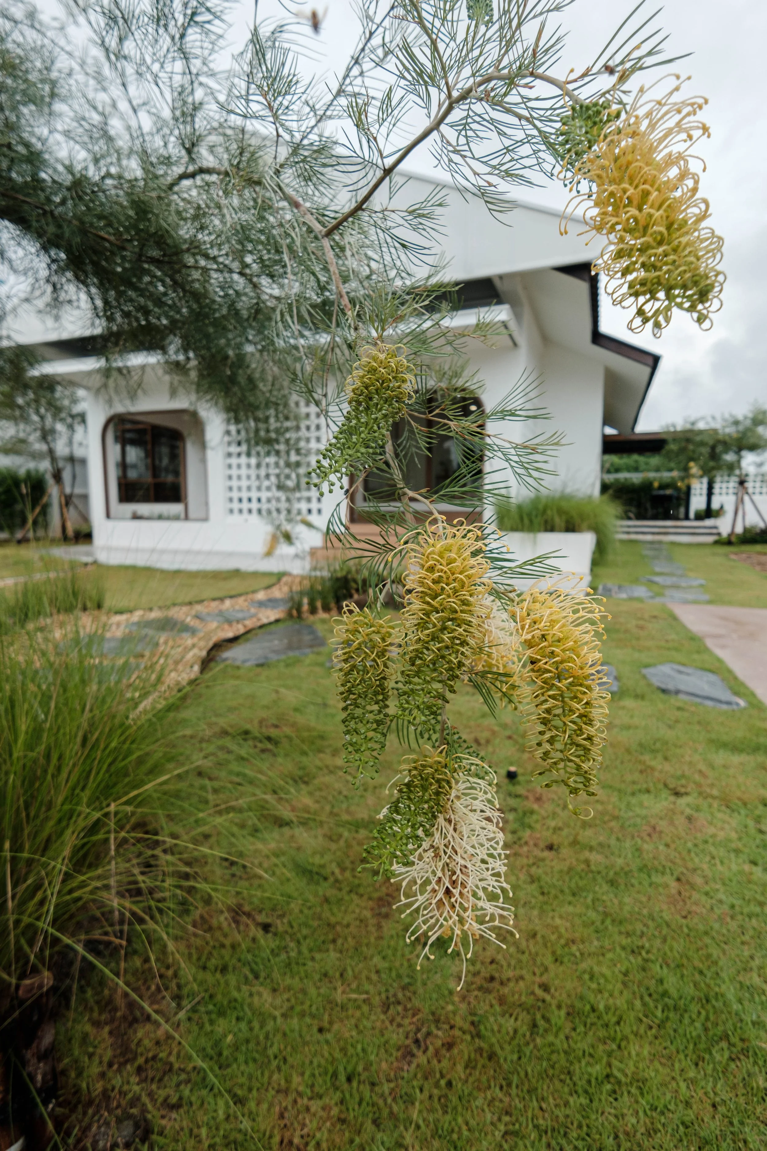 DSCF4837.jpg
