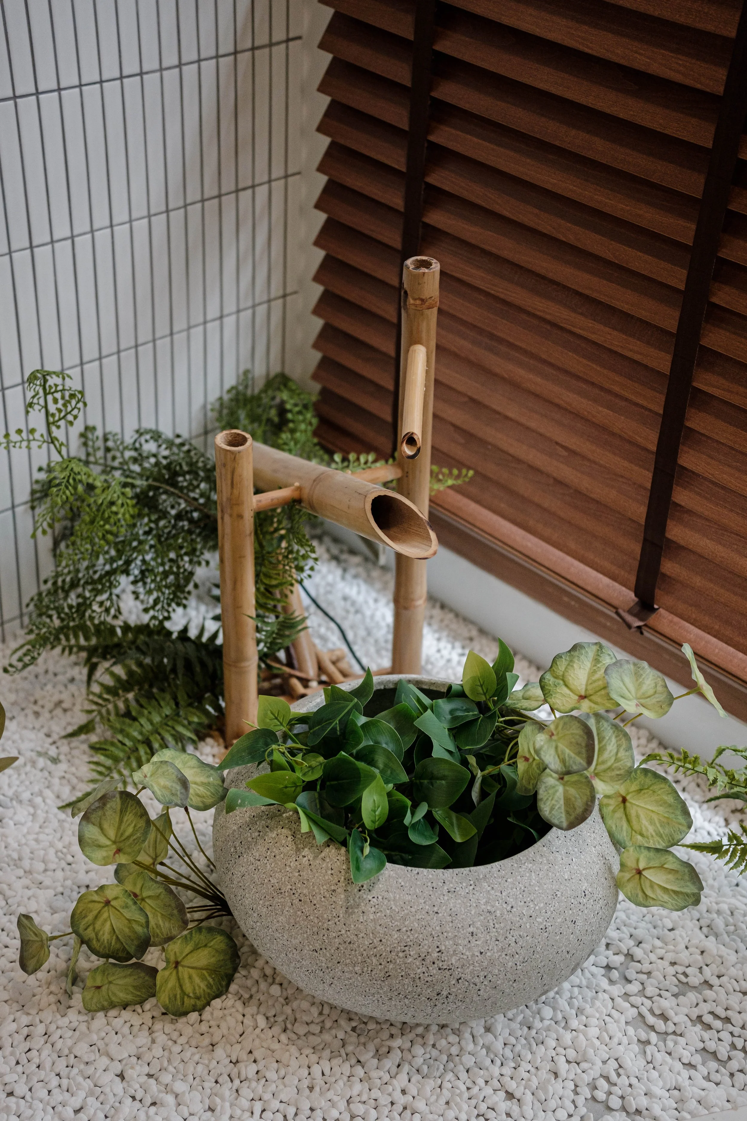 DSCF5127.jpg