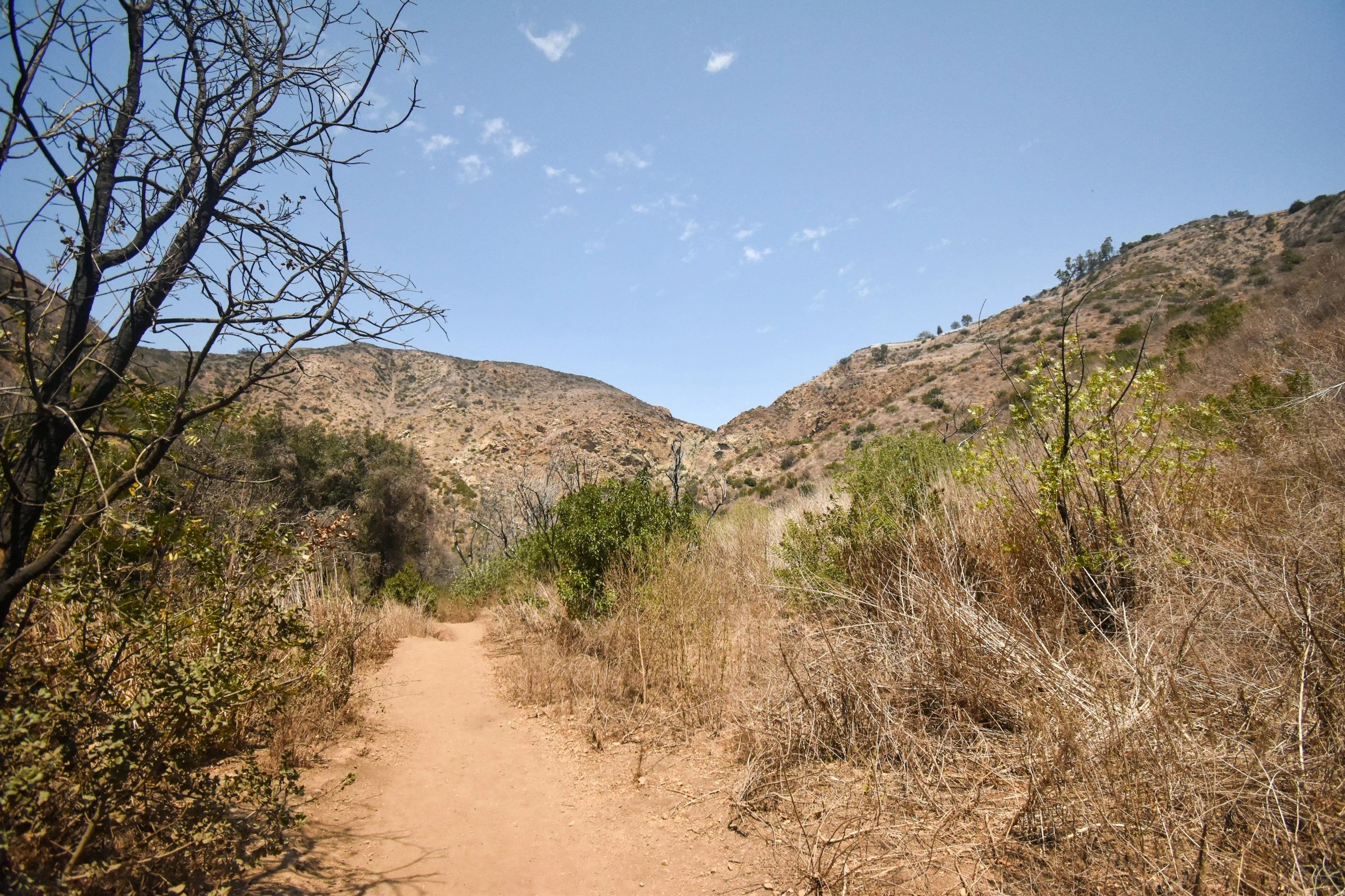 A dirt trail in a dry, desert-like area with sparse vegetation, leading toward mountains under a clear blue sky with a few clouds.