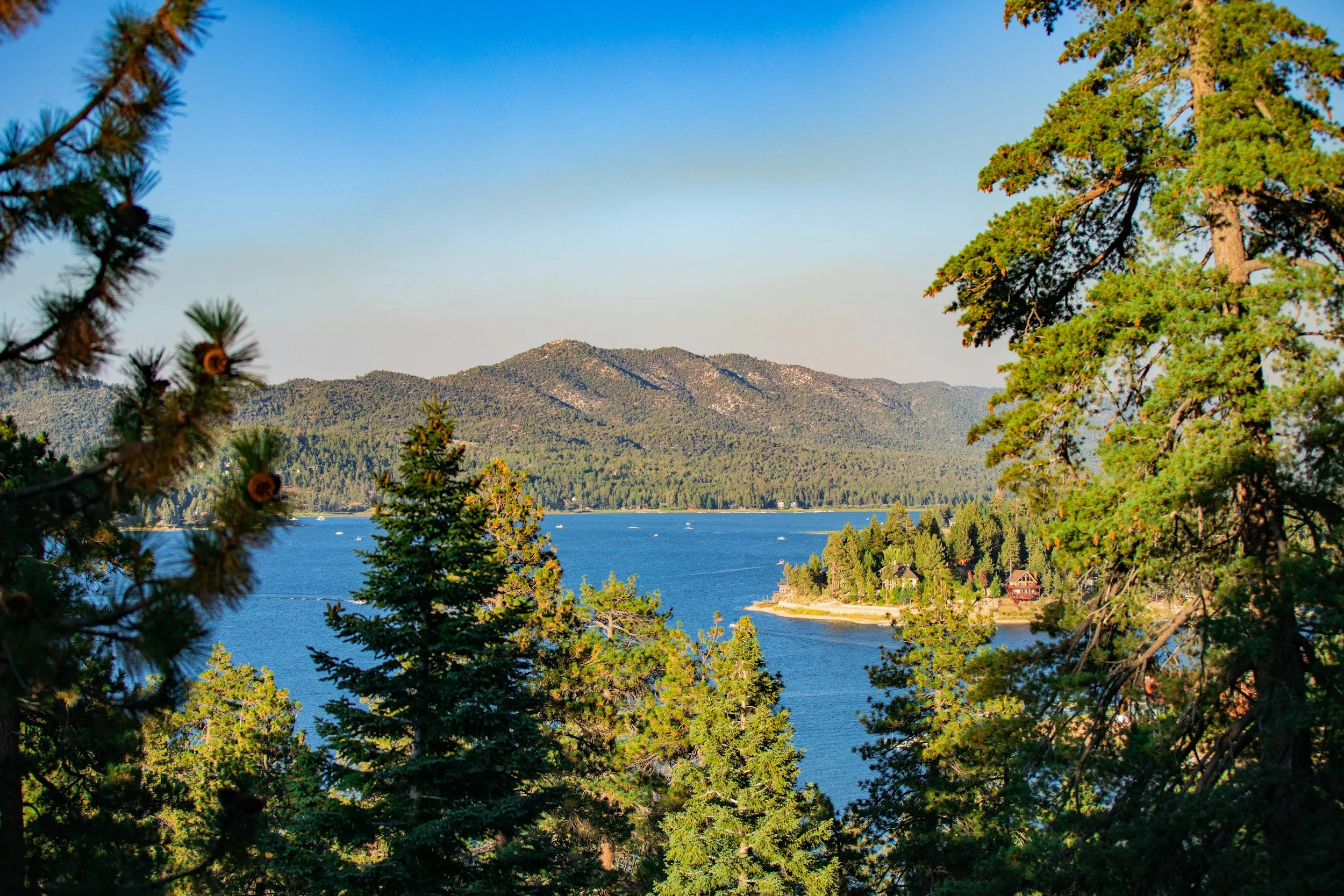 A scenic view of a lake with houses along the shore, surrounded by lush green trees and mountains in the background under a clear blue sky.
