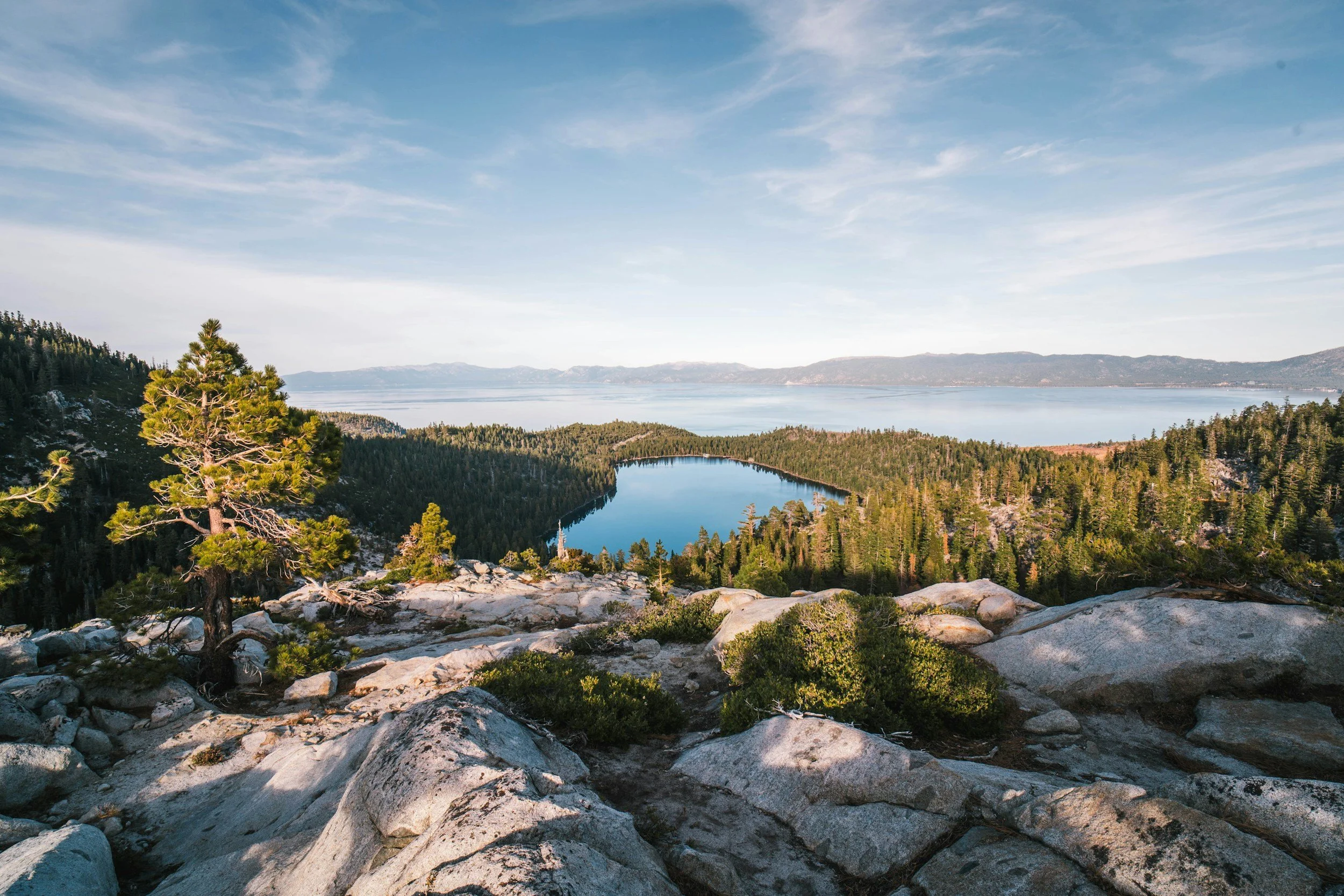 A scenic view of a landscape featuring mountains, a large body of water, and a forested area with a pine tree in the foreground under a partly cloudy sky.