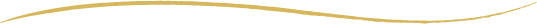Placeholder horizontal line separating sections