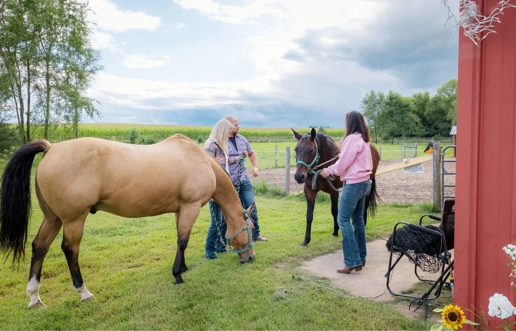 Three people and two horses in a grassy outdoor area near a red barn, with a field and trees in the background. One person is leading a dark brown horse, while another is near a light brown horse, and a third person is talking to the person with the dark brown horse. There are some folding chairs and a sunflower near the barn.