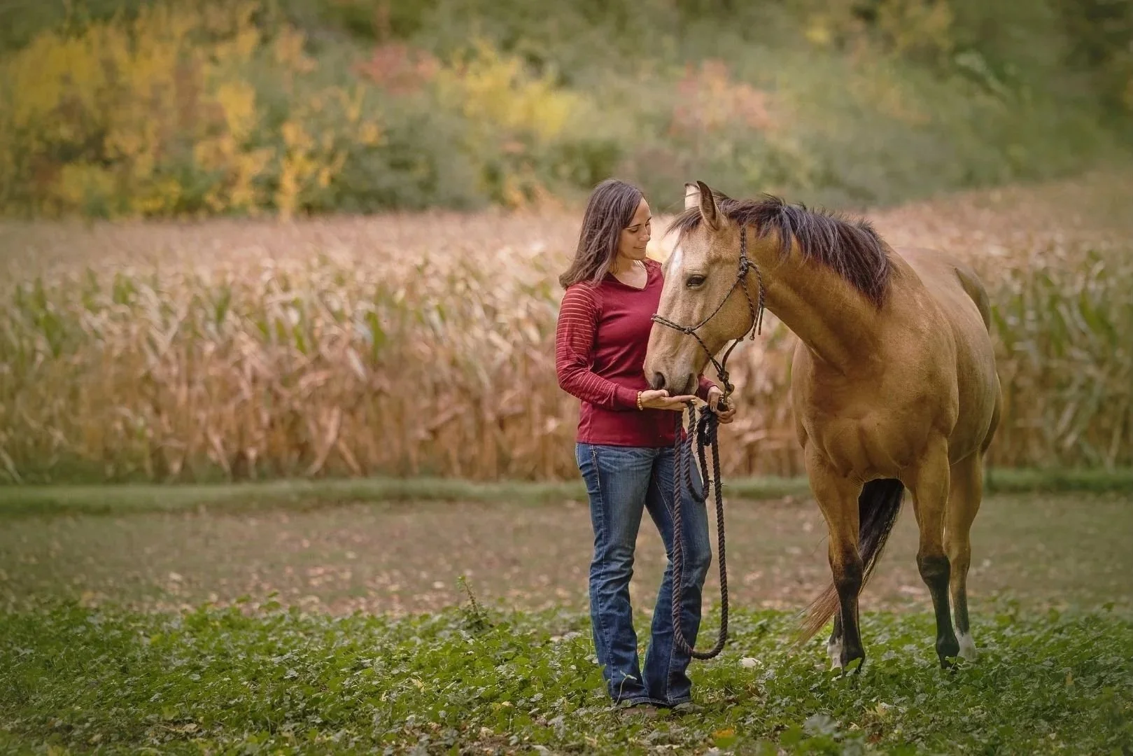 A woman in a red long-sleeve shirt and jeans stands in a field, gently holding the reins of a tan horse with a black mane, as they look at each other, surrounded by autumn foliage and a cornfield in the background.