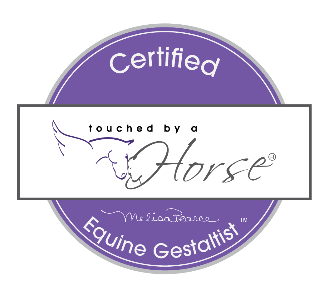 Certificate with a purple circular border and a white rectangle in the center featuring a horse illustration, and the text 'touched by a Horse' handwritten below the illustration. The certificate says 'Certified Equine Gestaltist' with the name 'Melisa Pearce' written underneath.
