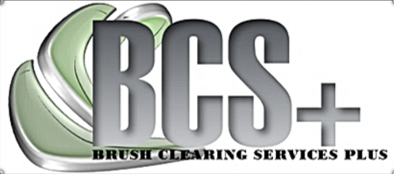 BCS+