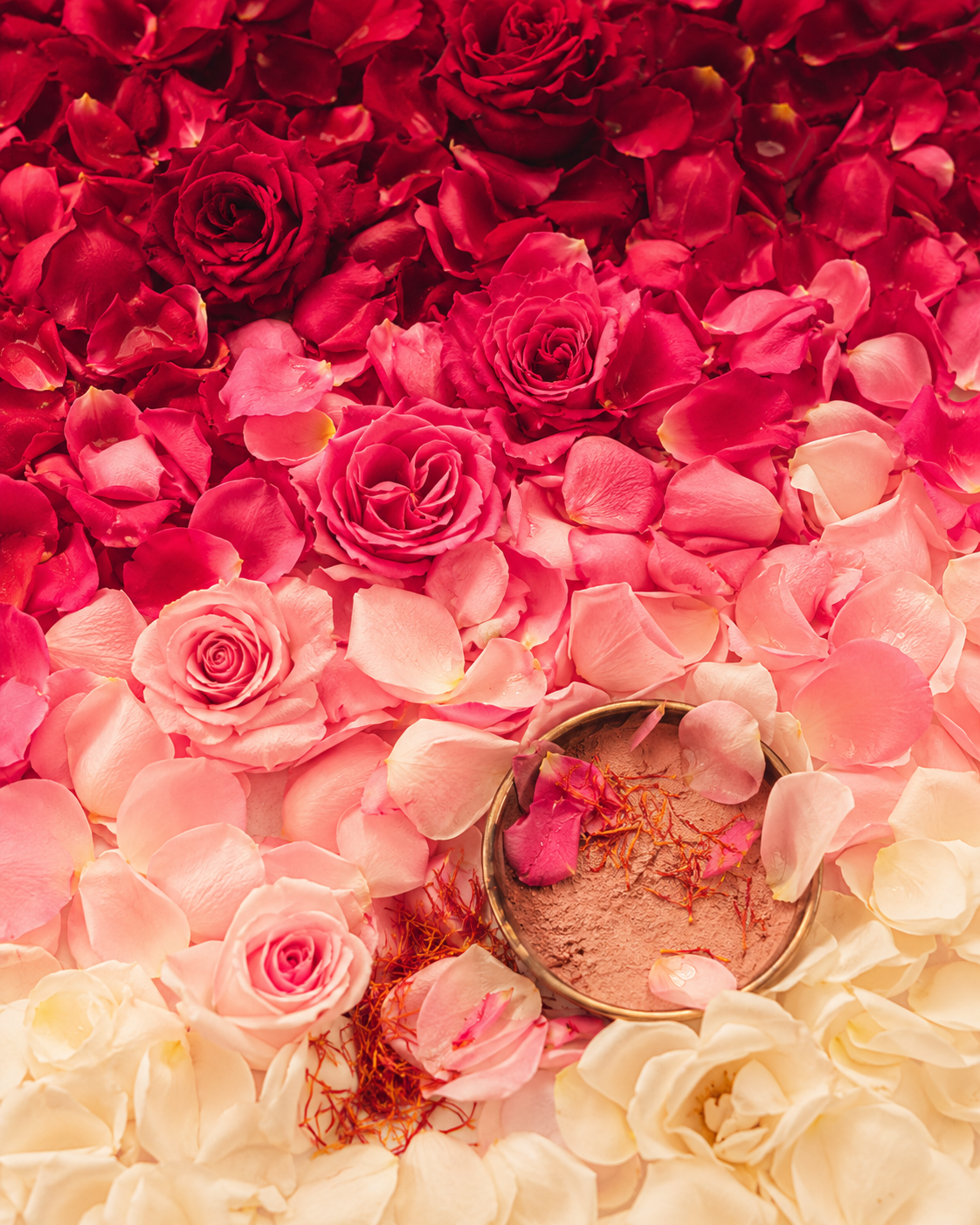 Botanical skincare ingredients featuring fresh roses, rose petals, and rose-infused cream, representing plant-based beauty and Ayurvedic-inspired skincare.