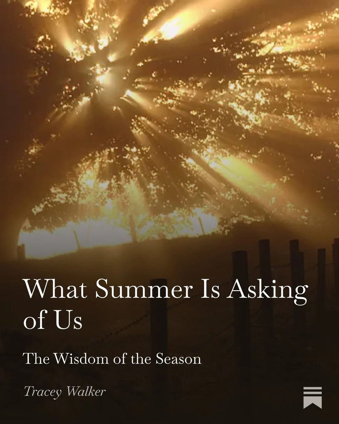 What Summer Is Asking of Us  