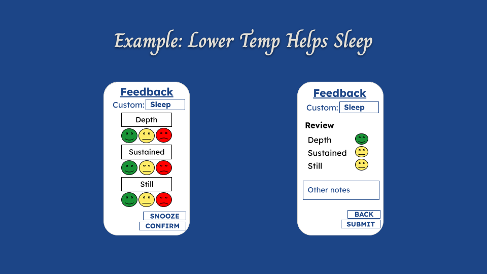 Input Prompt
