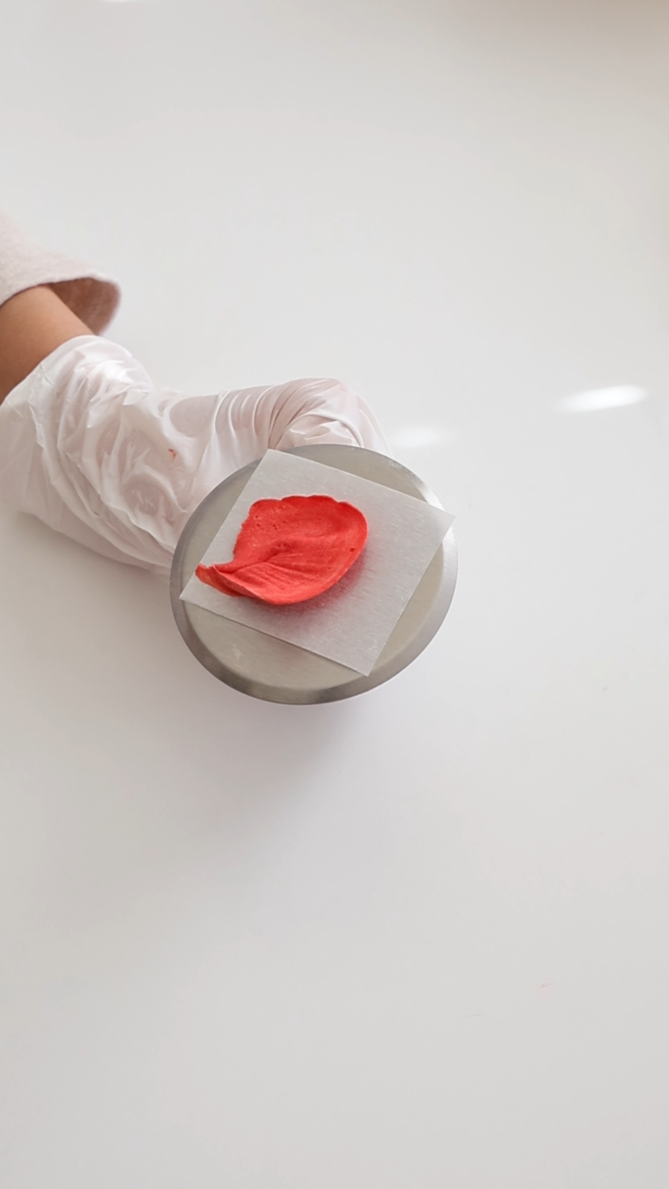 A person wearing a white glove holding a round metal object with a red petal-shaped item on top of it, placed on a white surface.