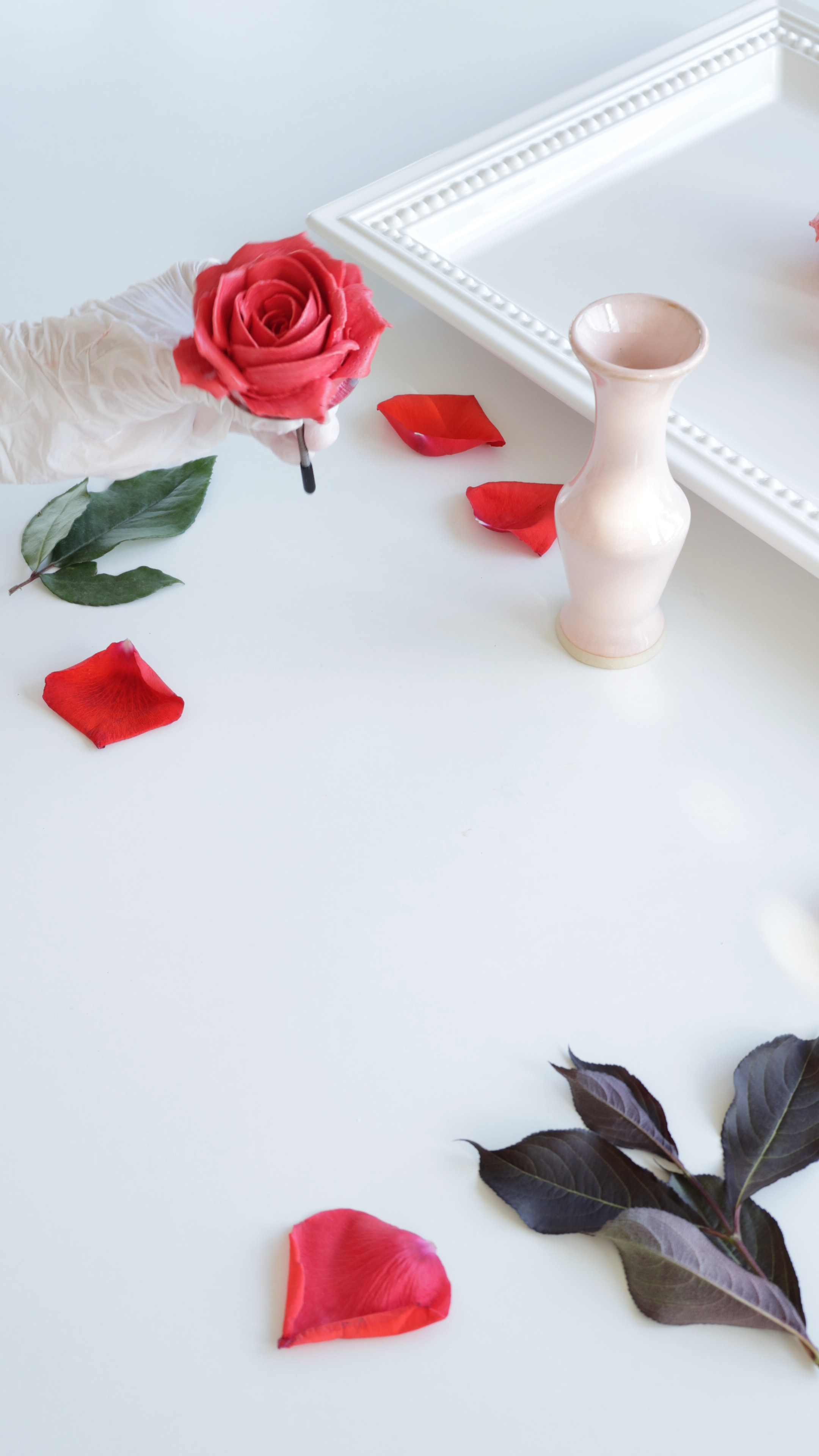 A white surface with a gloved hand holding a pink rose, red rose petals, and dark green and purple leaves, next to a pink ceramic vase and a white decorative frame.