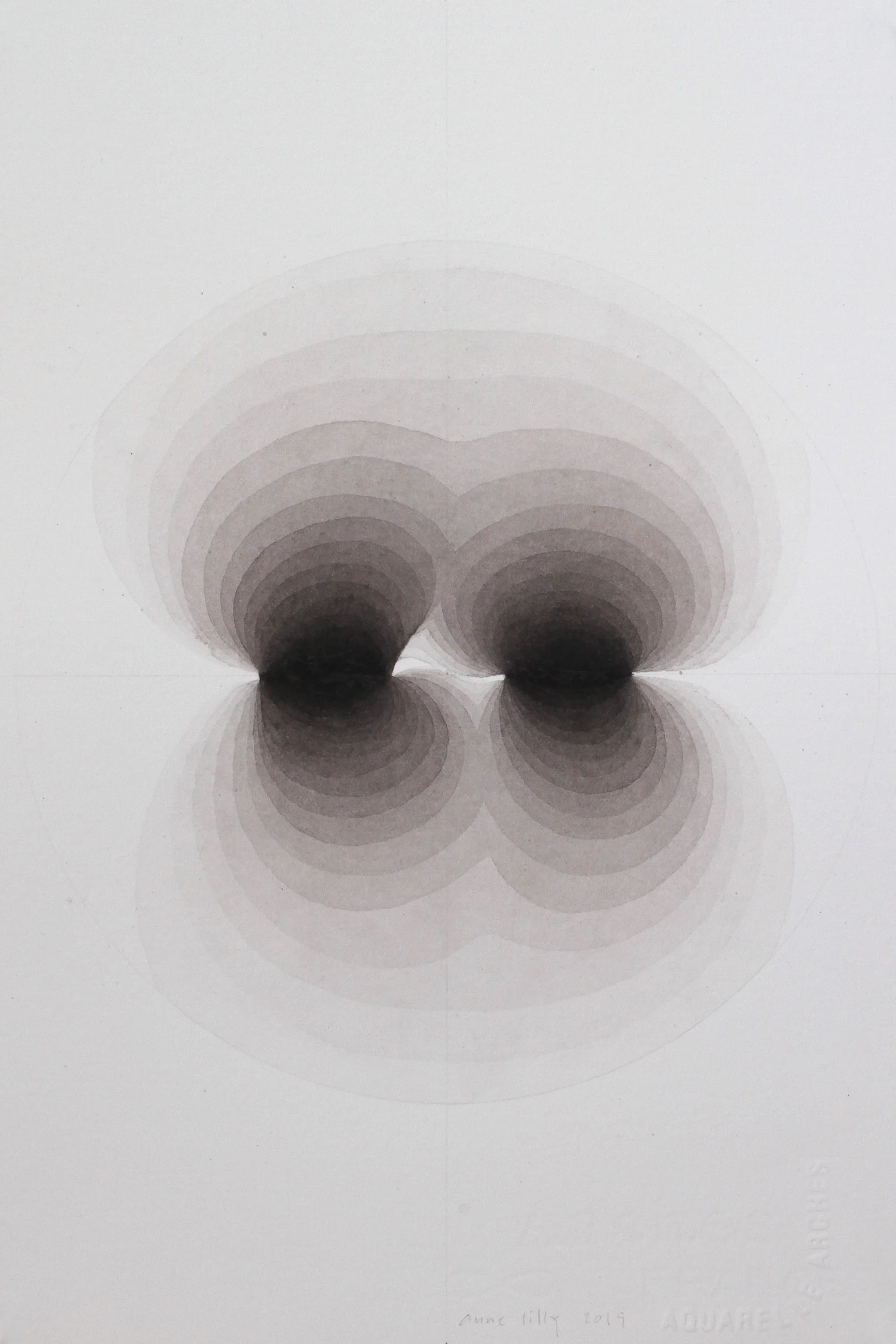 bivalve, 2019