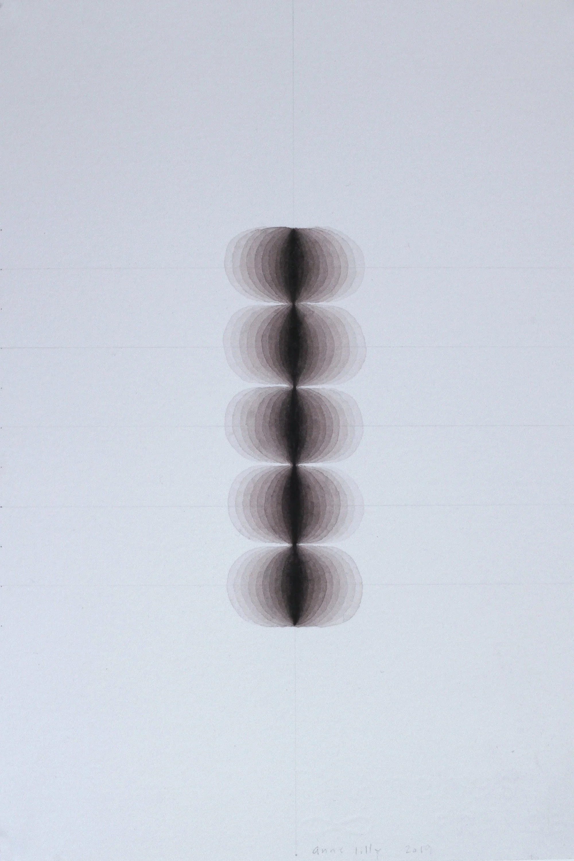 specimen (a), 2019
