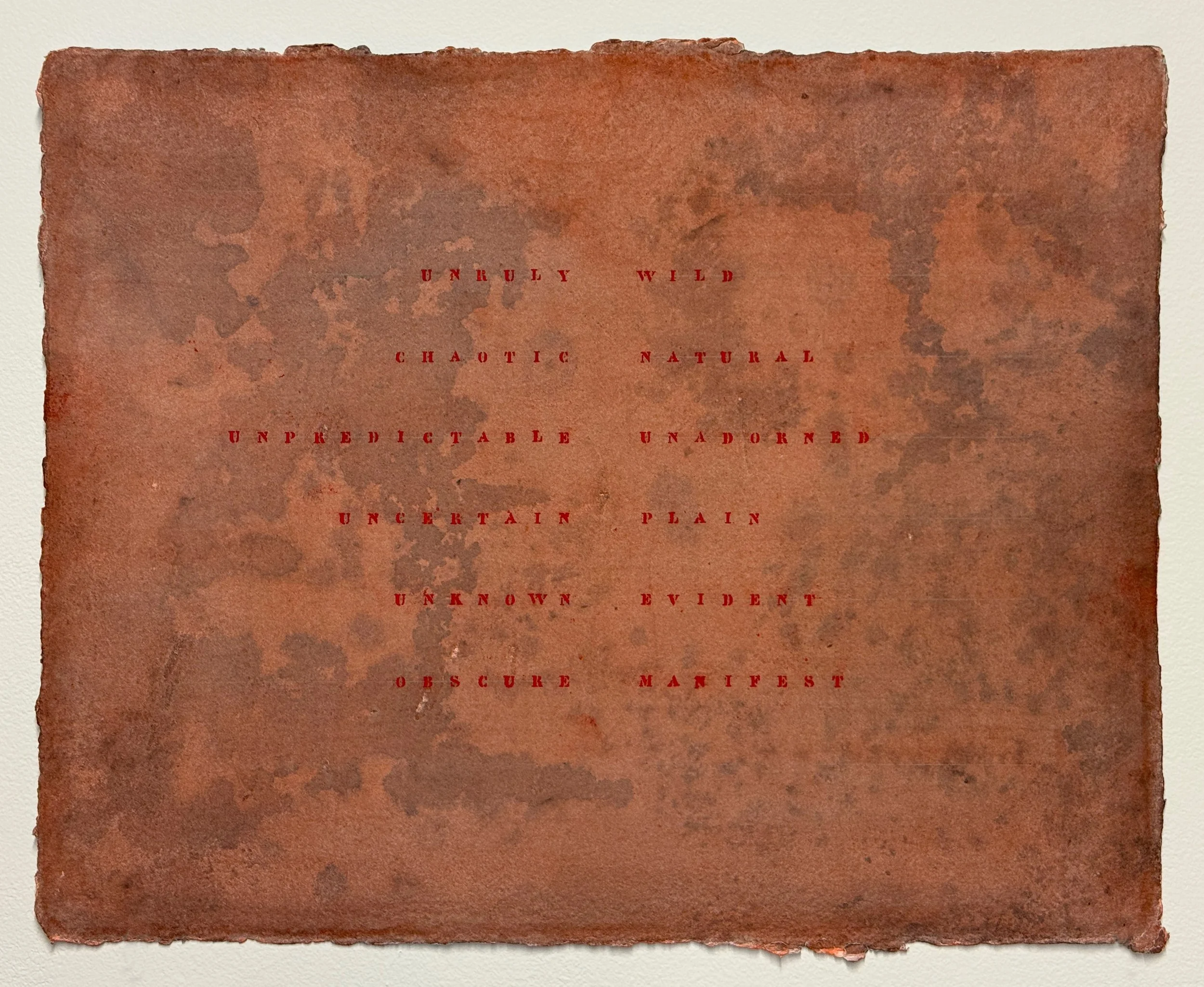 continua (obscure manifest), 2026
