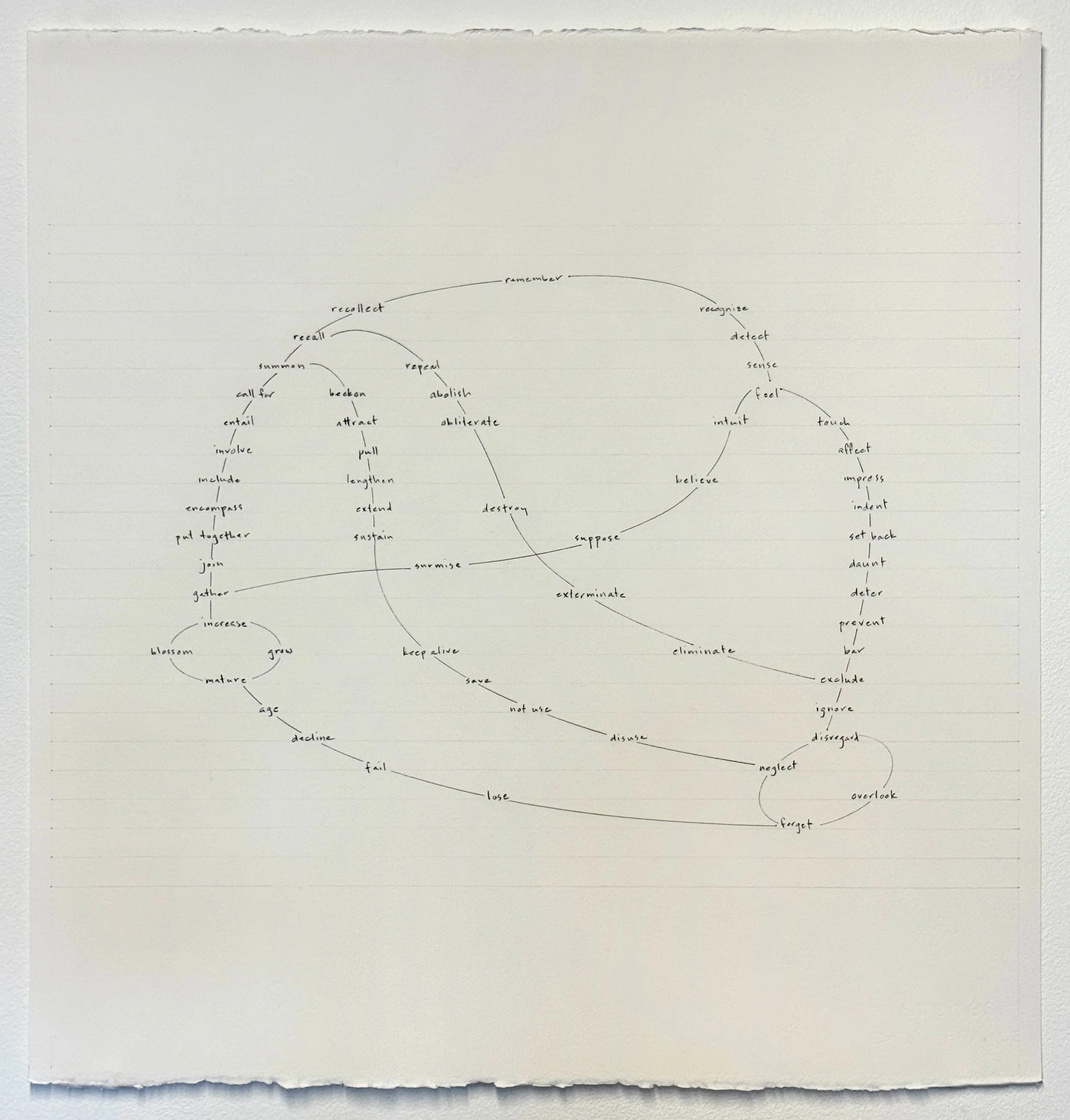 continua (remember=forget), 2026