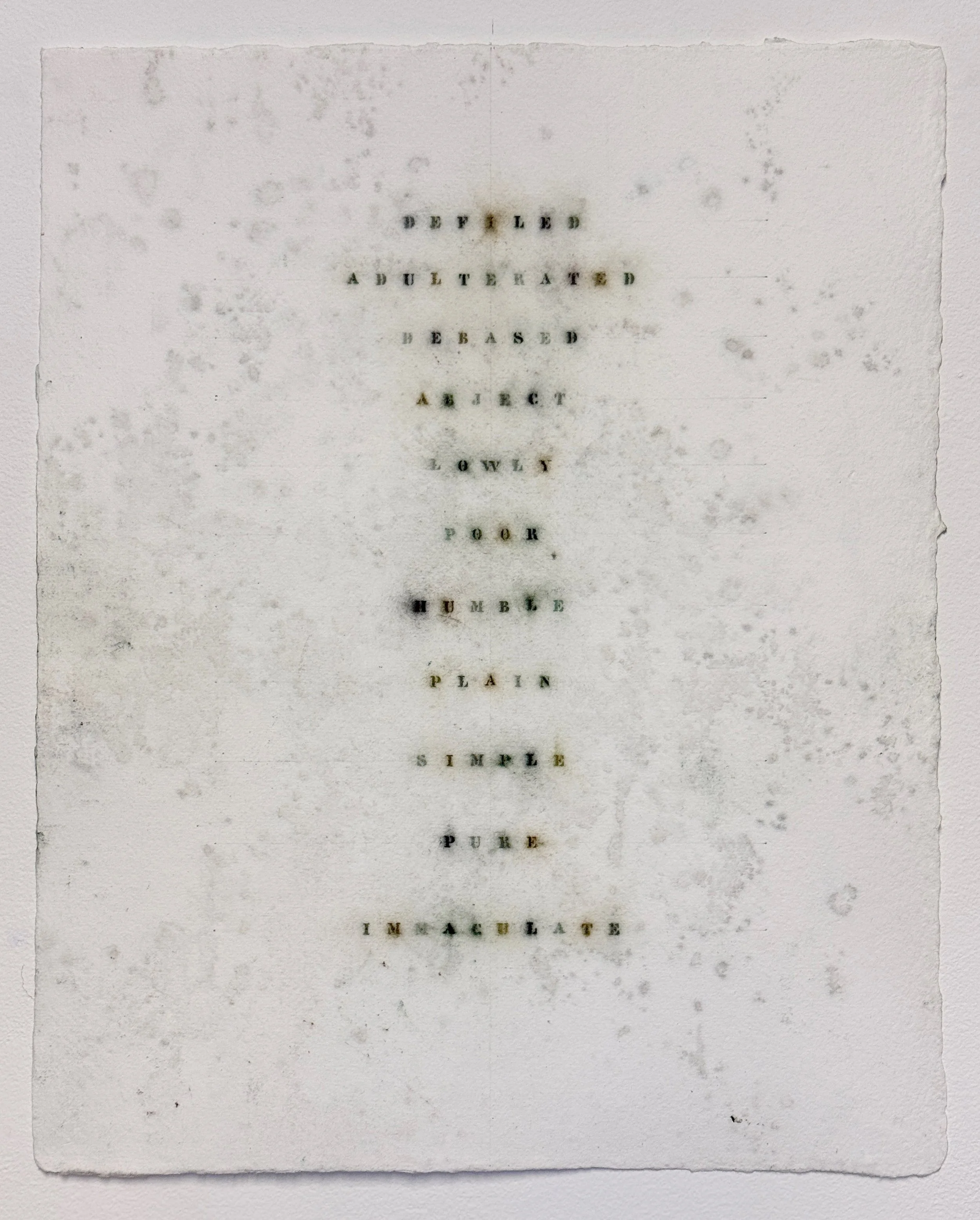 continua (defiled immaculate), 2026