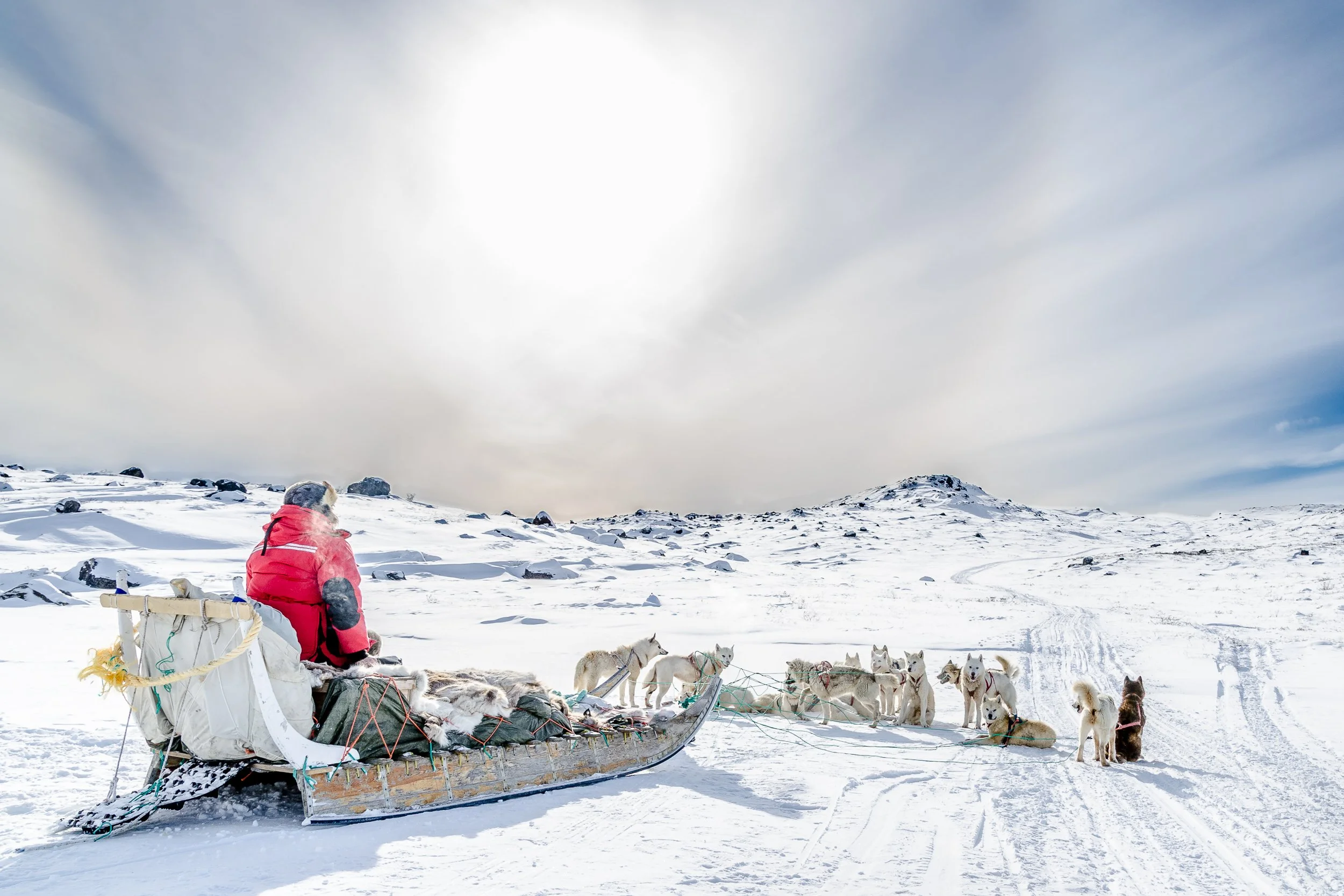 Dog sledding, Arctic Circle Trail | Greenland