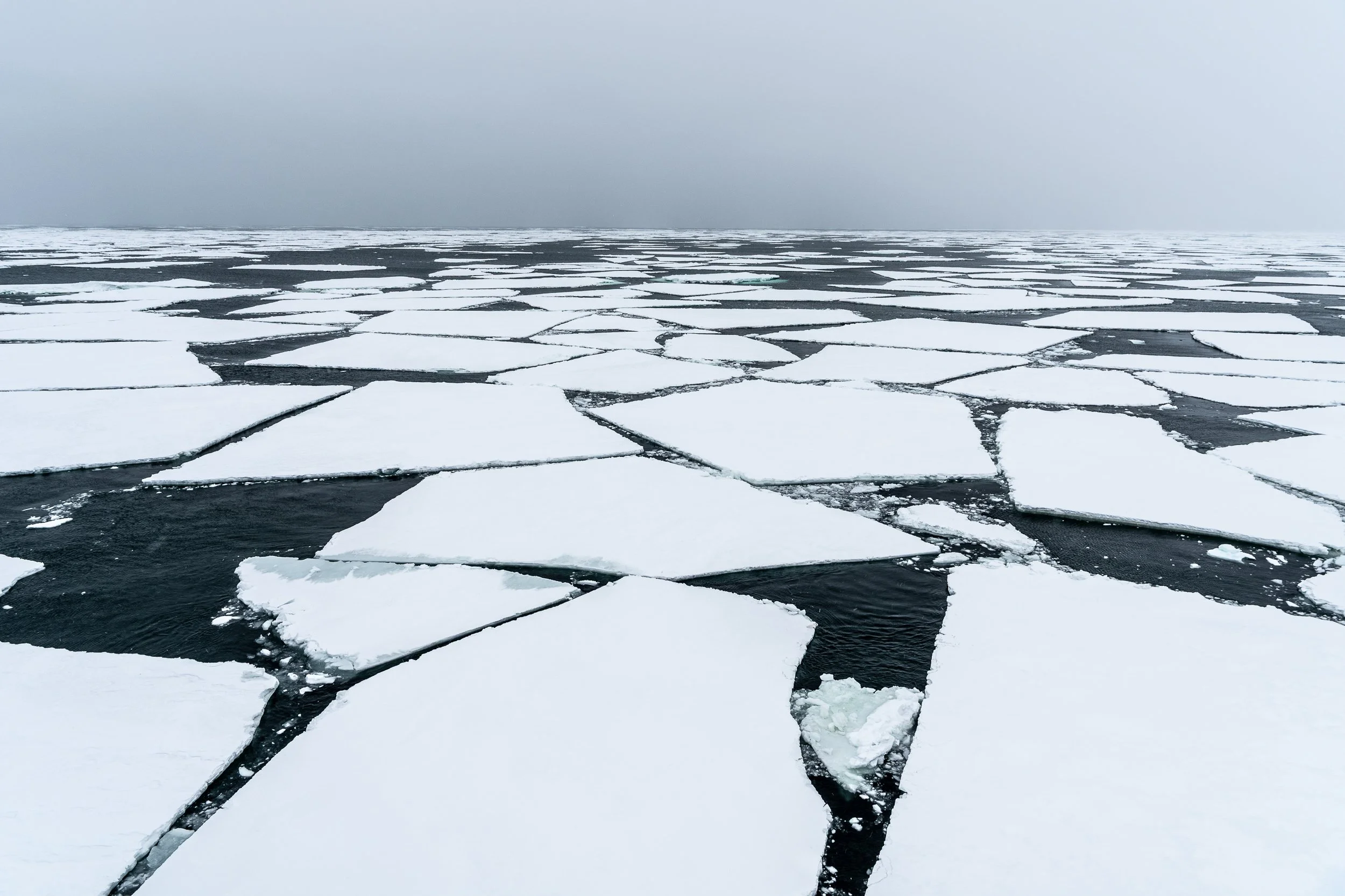 Broken pack ice, Ross Sea | Antarctica