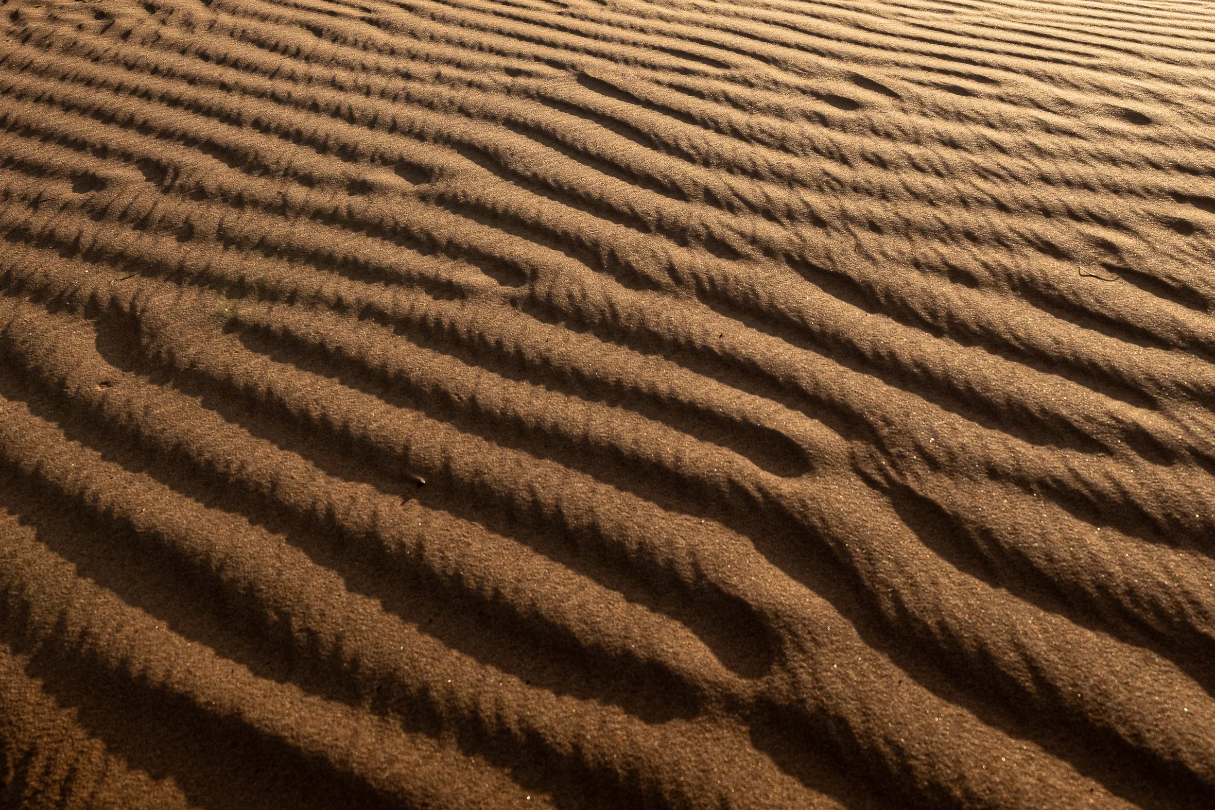 Sand ripples, Wahiba Sands | Oman