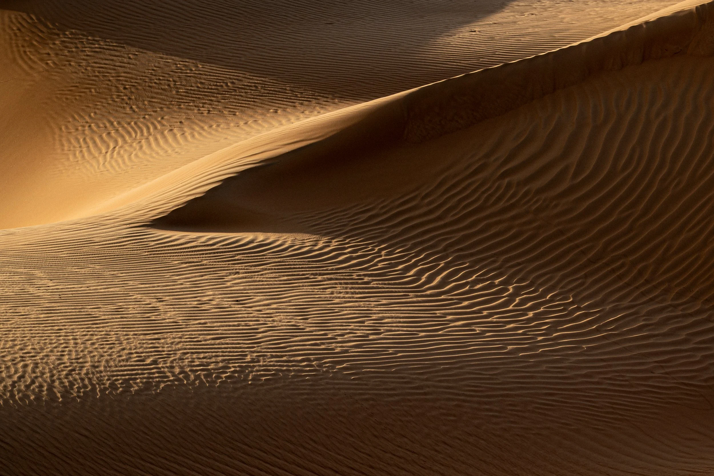 Desert textures, Wahiba Sands | Oman