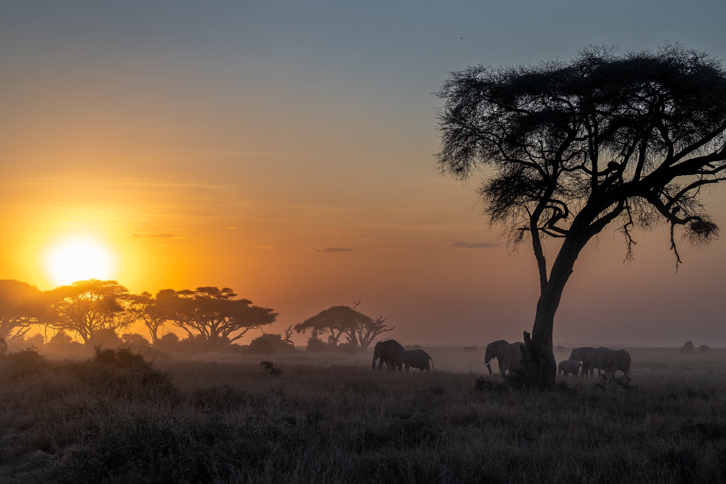 African sunset | Southern Kenya