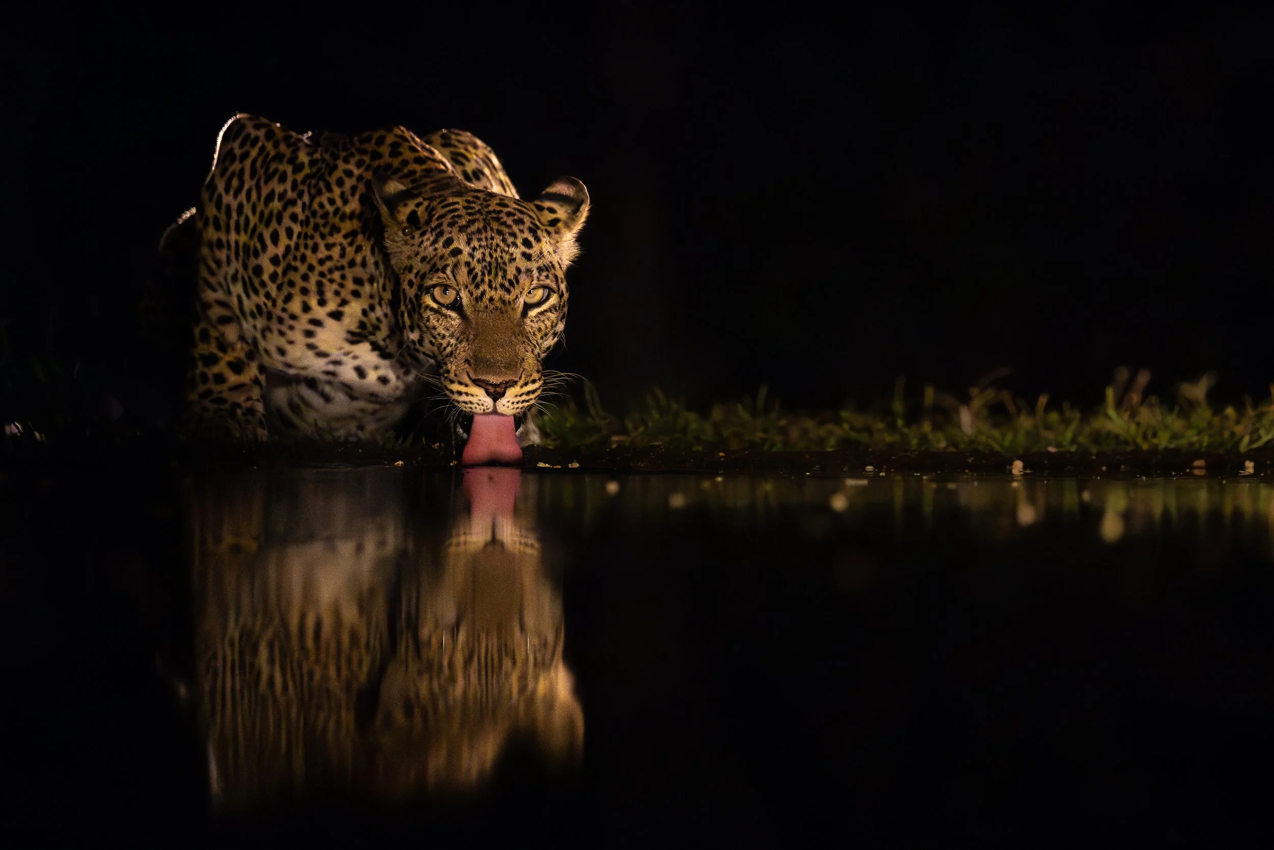 Six Nights for One Encounter