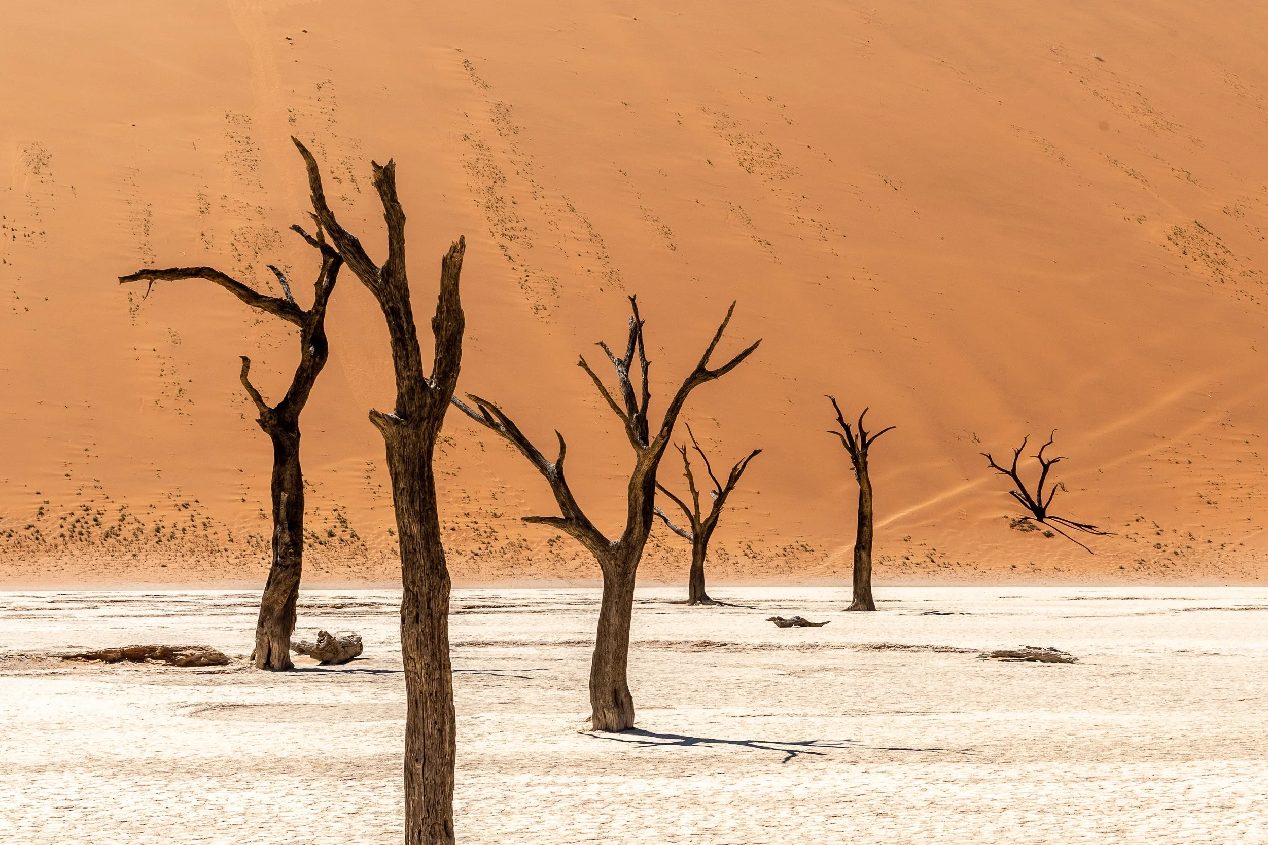 Deadvlei | Namibia