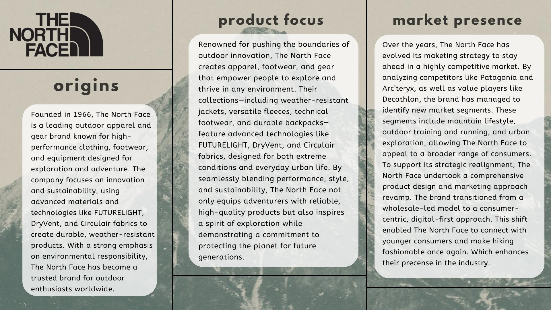 Northface Origins, Focus, and Presence 