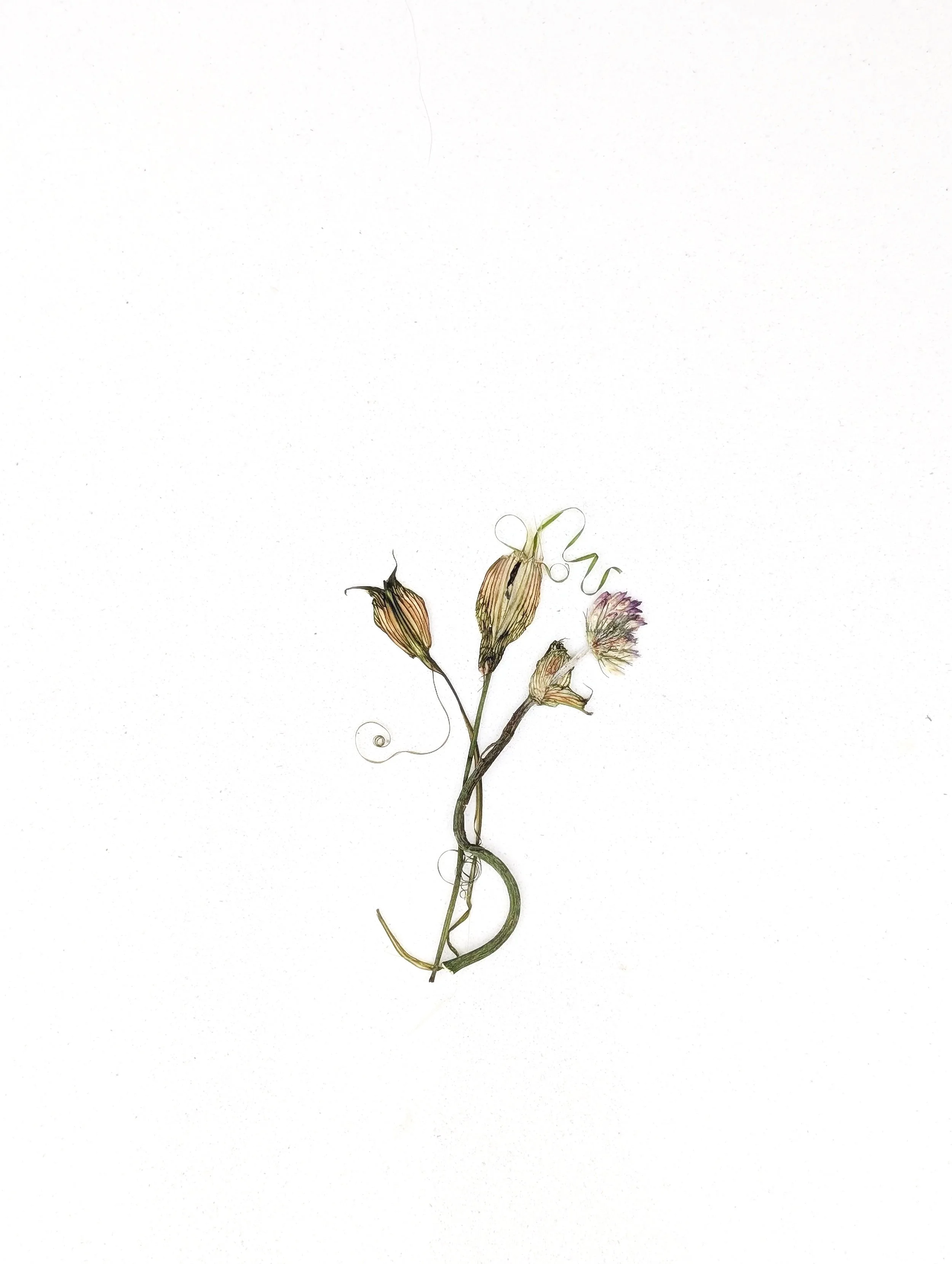 What Remains