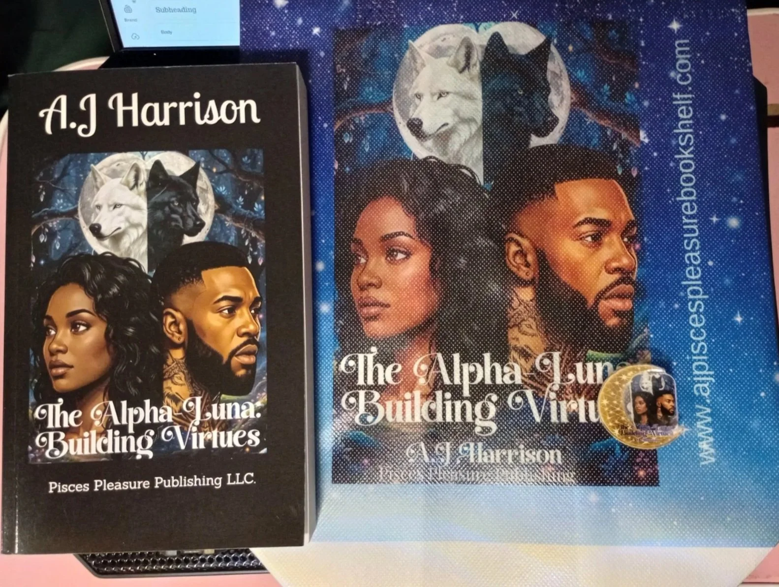 BV.Book.Bag.Pin.Bundle.jpg