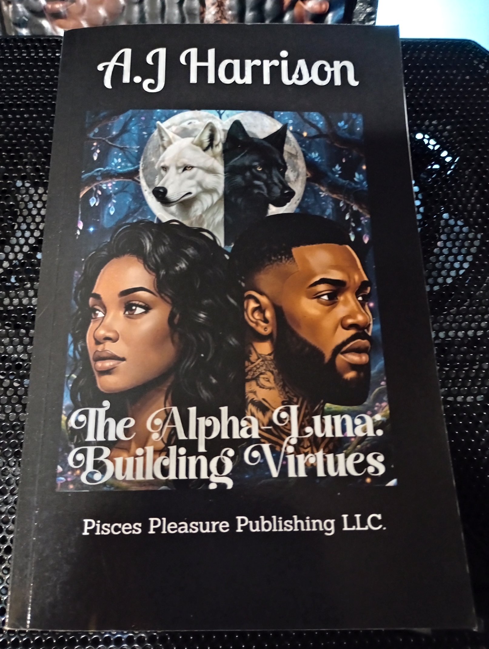 BV.Book.Front.jpg