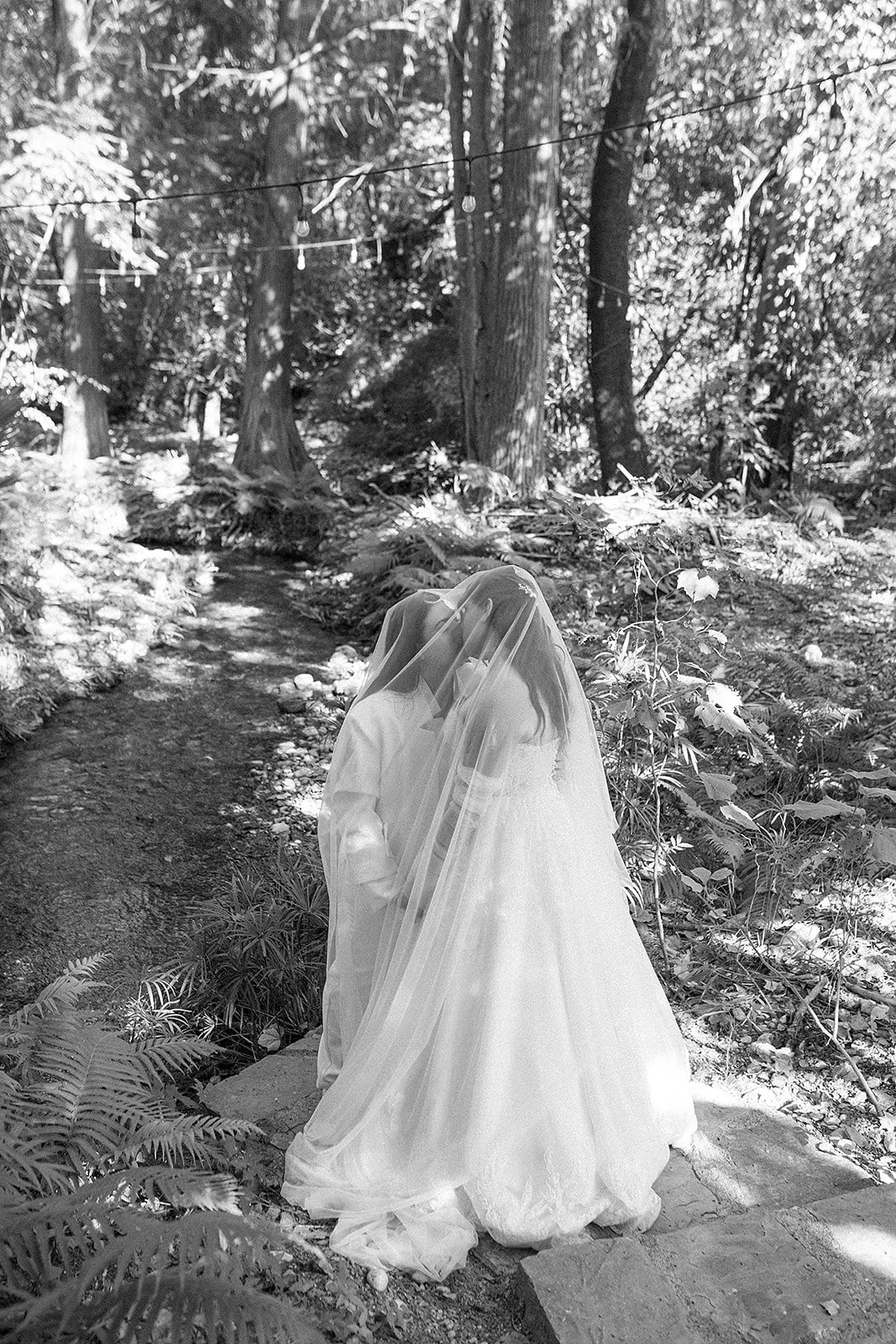 Una pareja con vestido de novia y traje formal compartiendo un beso en un bosque rodeado de árboles y plantas, con iluminación de guirnaldas en el fondo.