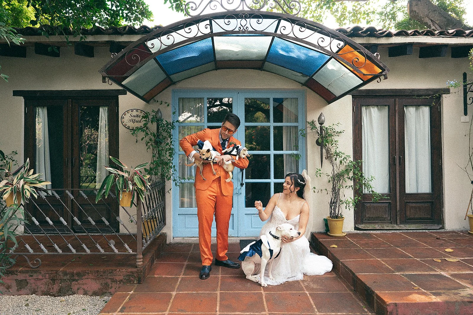 Pareja de novios con perros disfrazados frente a una casa, ella en vestido de novia y él en traje naranja