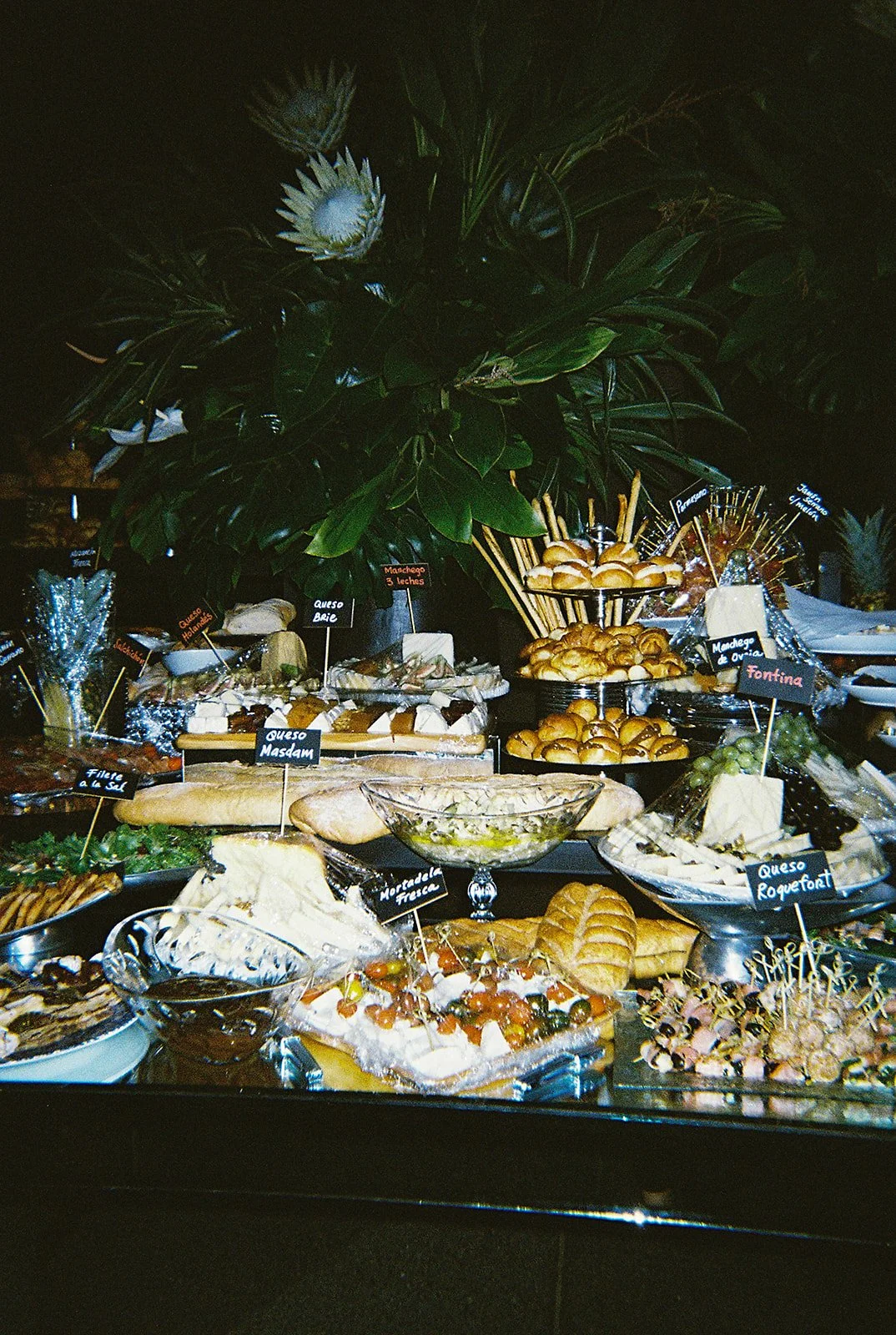 18306-022_websize.jpg